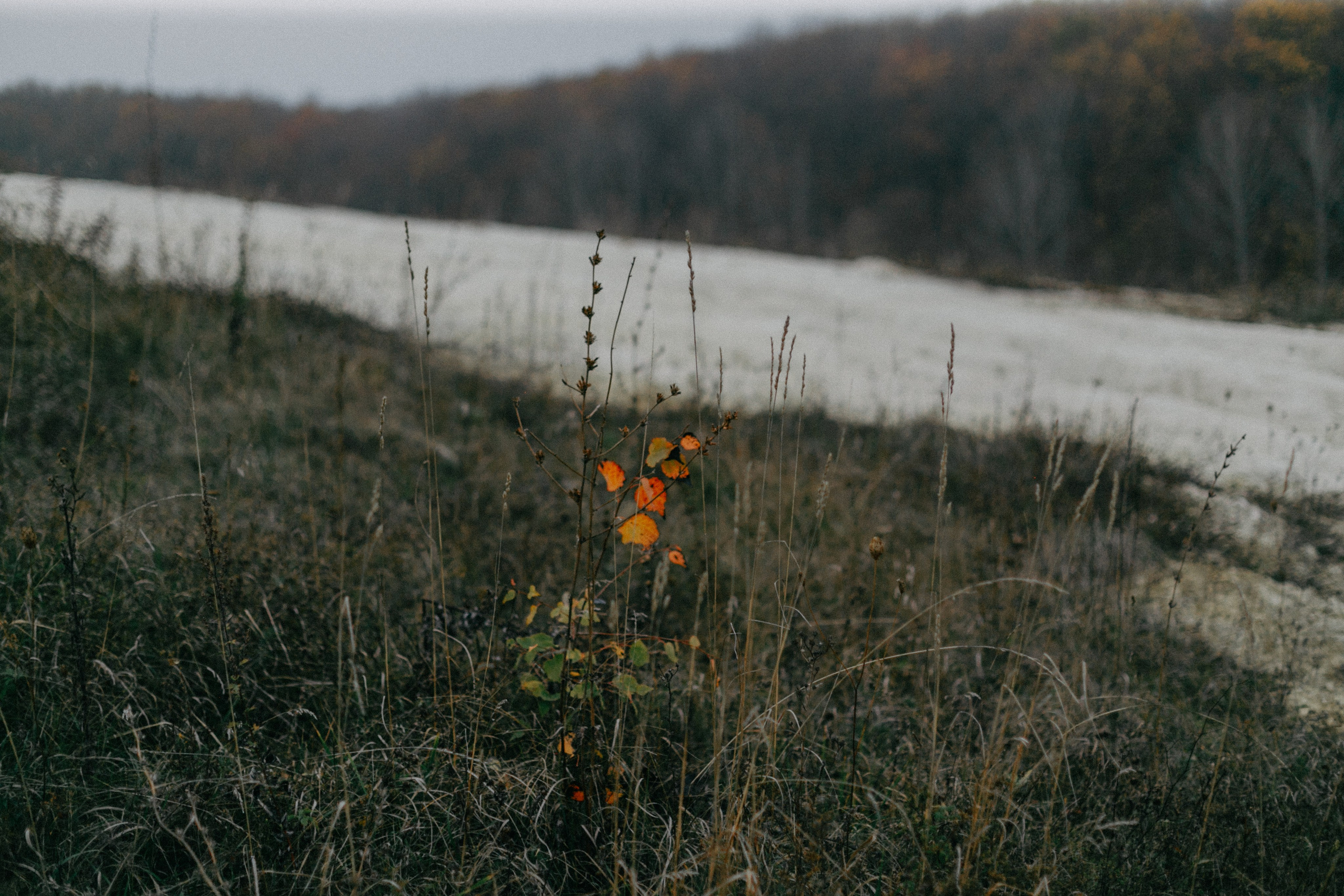 Рита. Семейный фотограф в Белгороде
