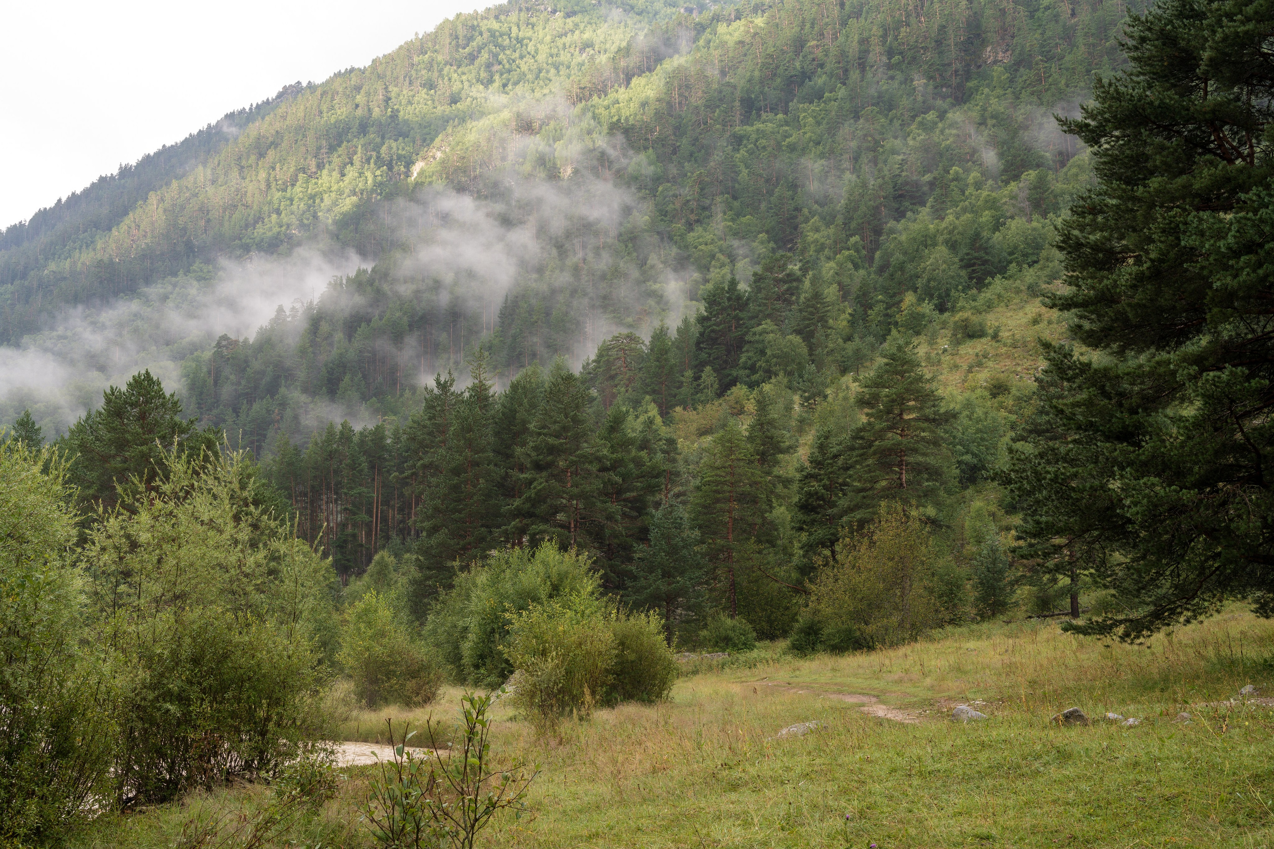 Экспедиция 2025