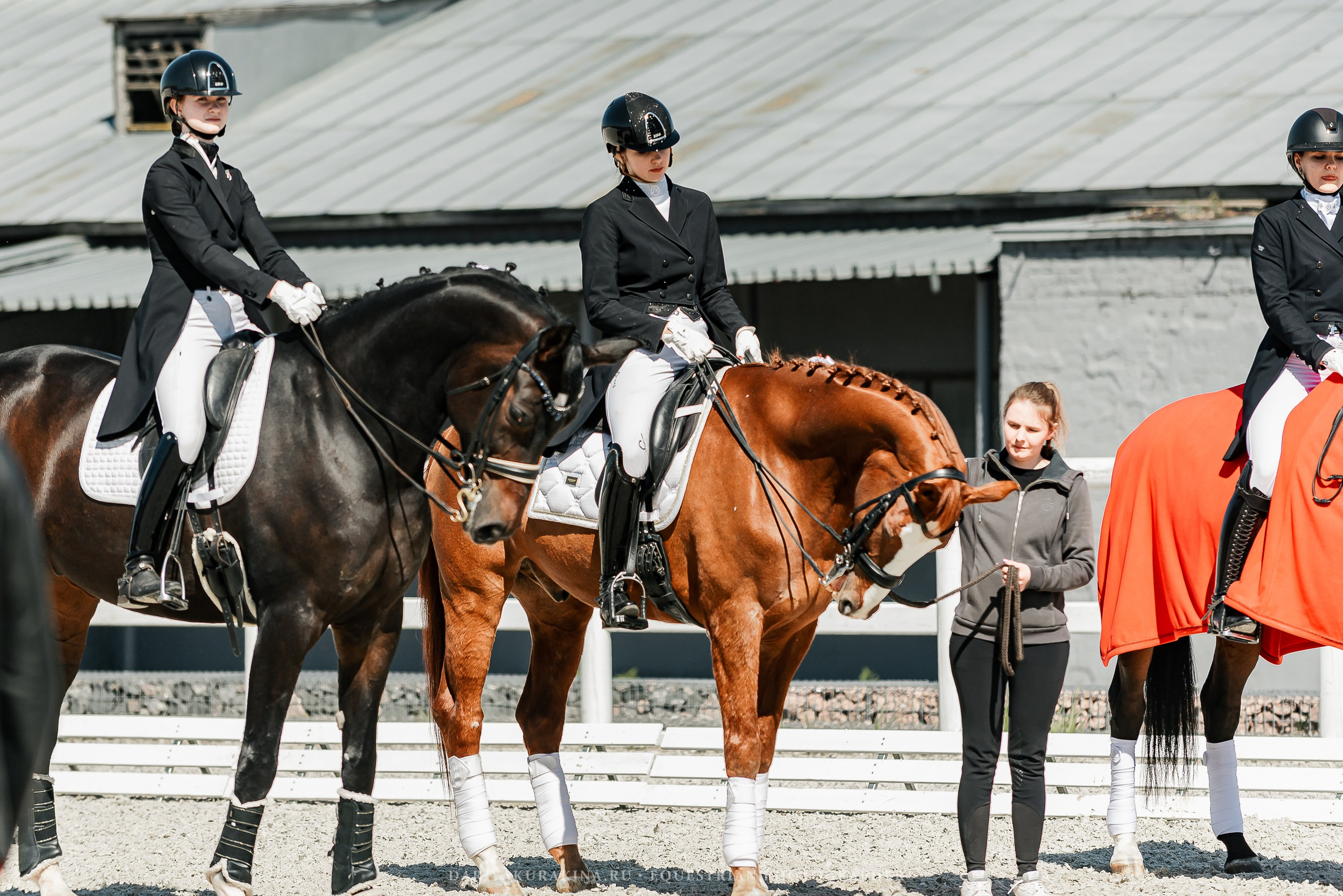 РЕПОРТАЖ МКК ВОЛЬТ «LA TULIPS». Конный фотограф Куракина Дарья • Фотосессии с лошадьми