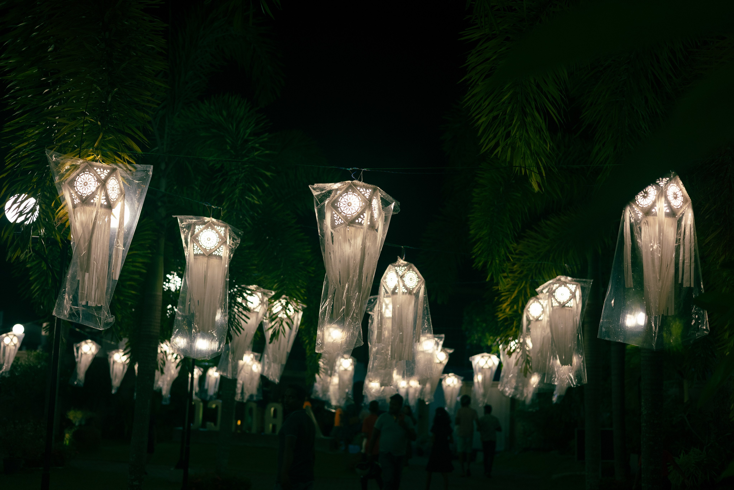 Vesak Poya 2023. Photographer Sonkina Tatiana (Tanya Ash)