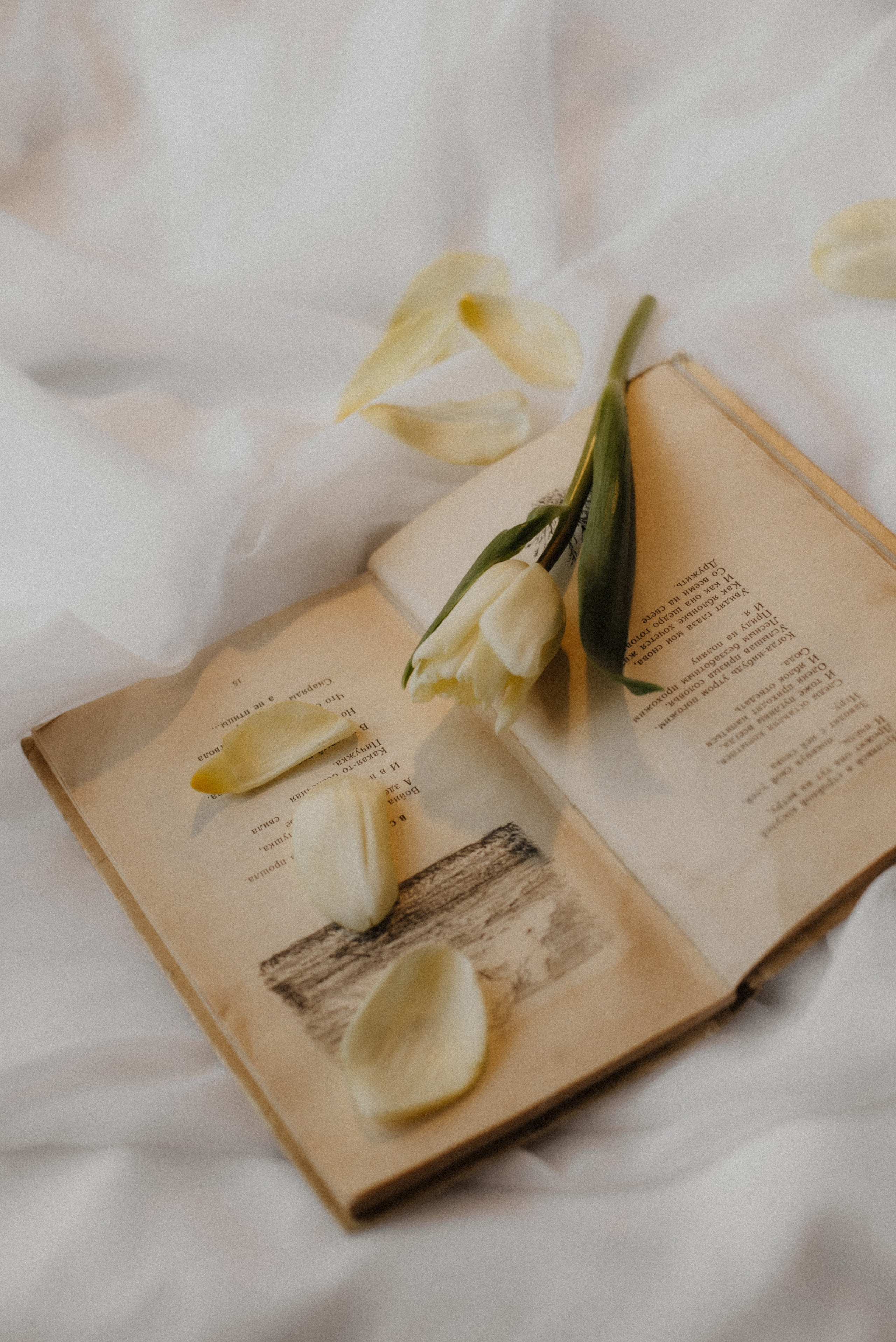 Moment. Свадебный и семейный фотограф в Йошкар-Оле, Питере и Казани Александра Богинич