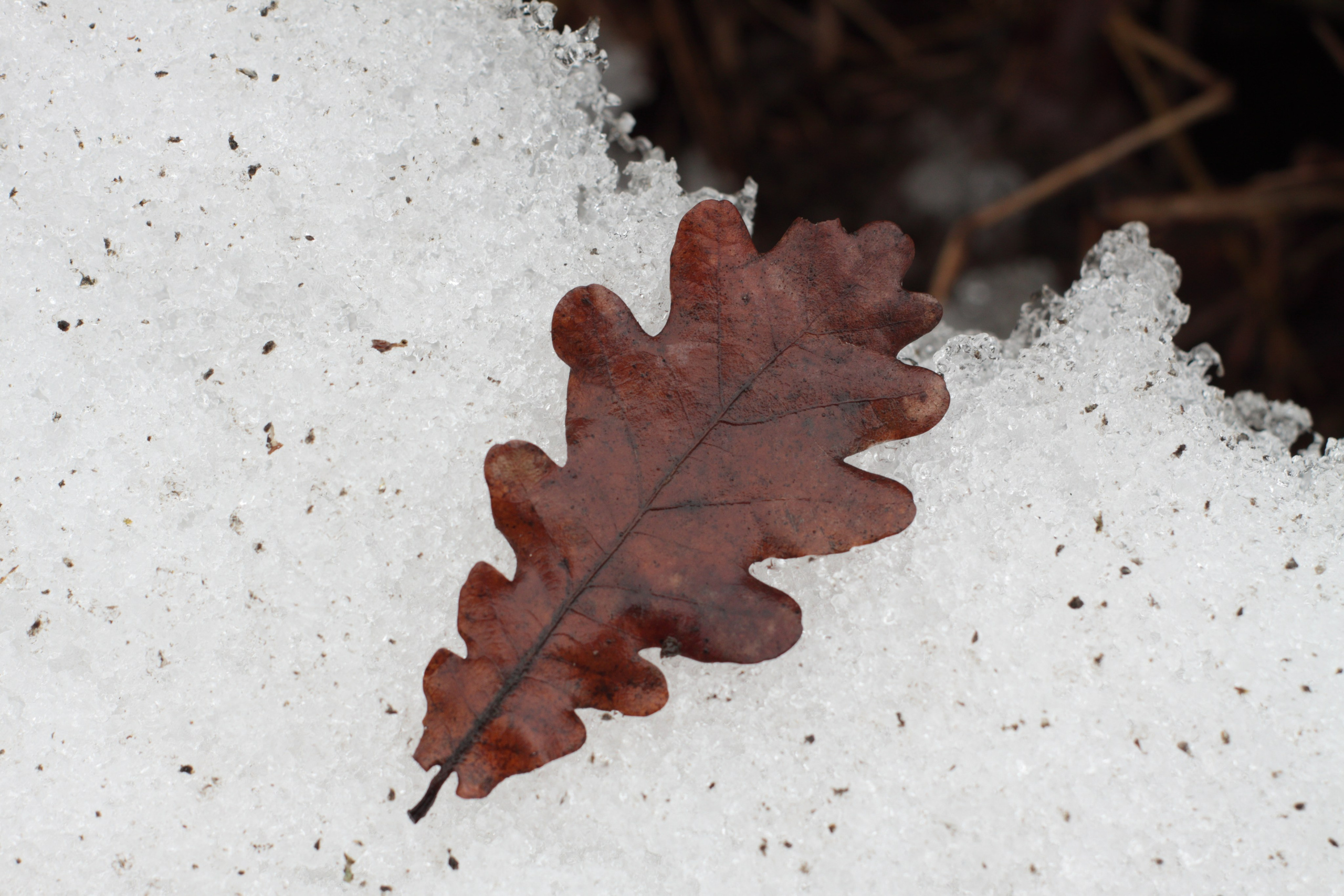 Старое природное, отбирала Katamount (Катерина Горохова). Главная