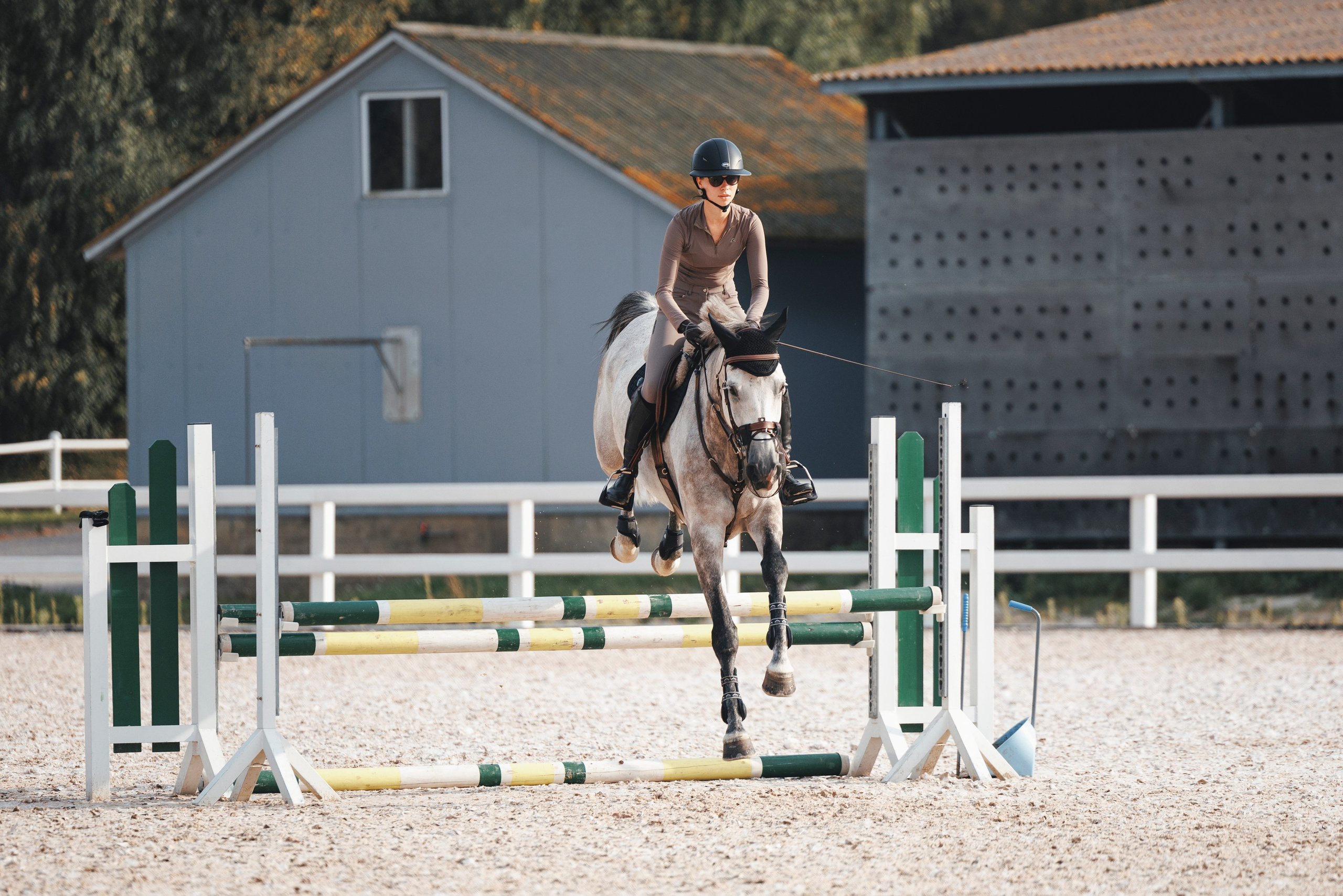 Конкур. Фотограф-анималист Анна Маринич