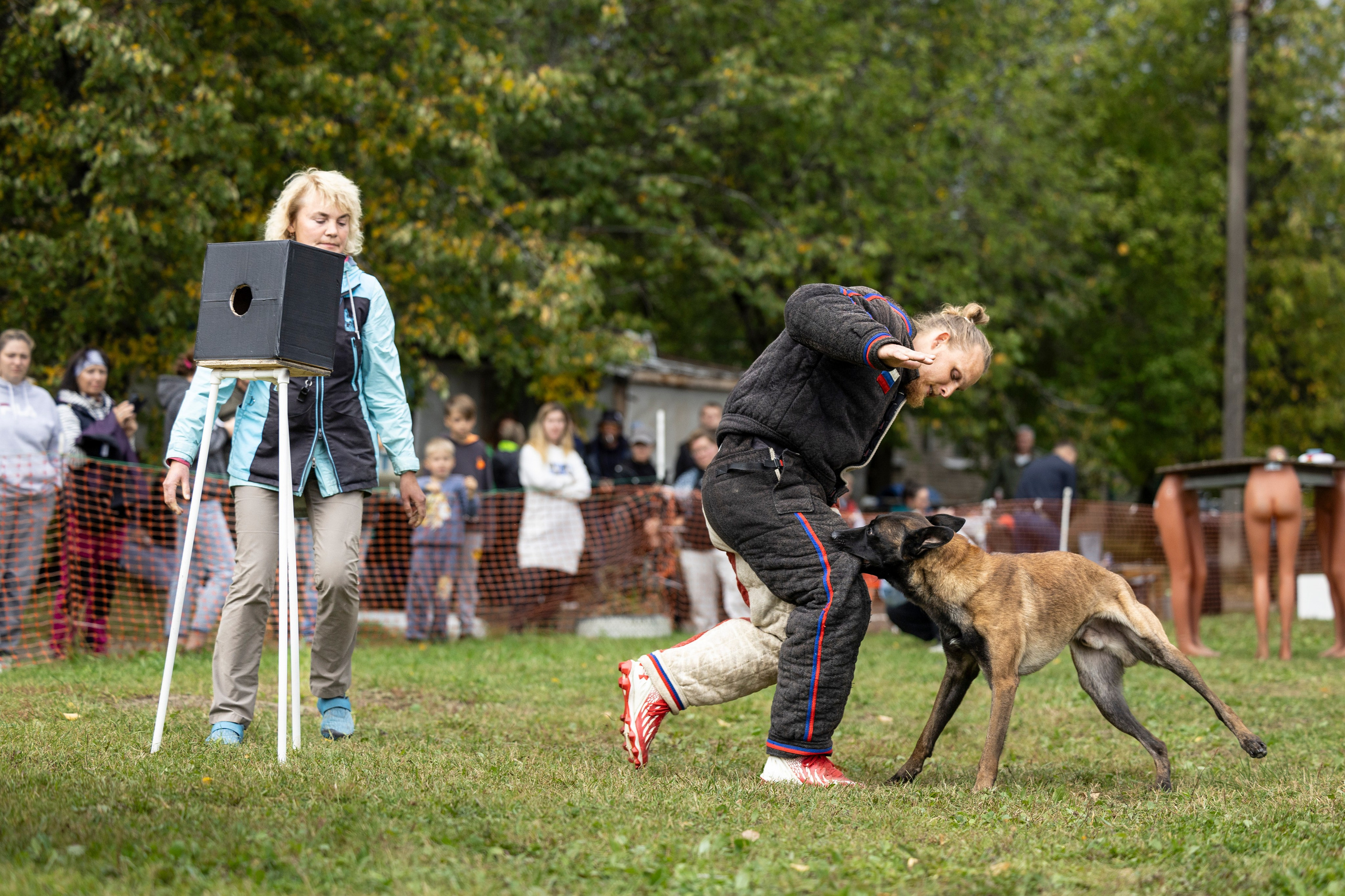 Испытания по Мондьорингу г. Пушкин. Фотограф-анималист Анна Маринич