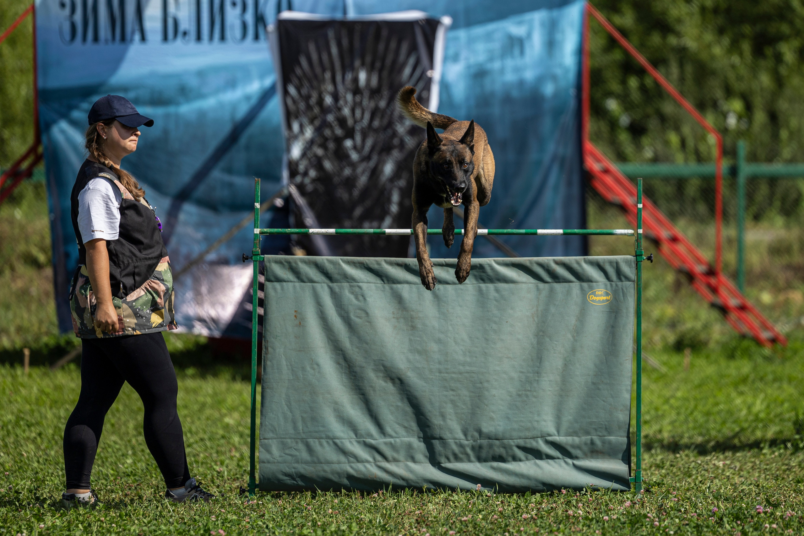 Соревнования по Мондьорингу г. Вологда 10-11.08.2024. Фотограф-анималист Анна Маринич