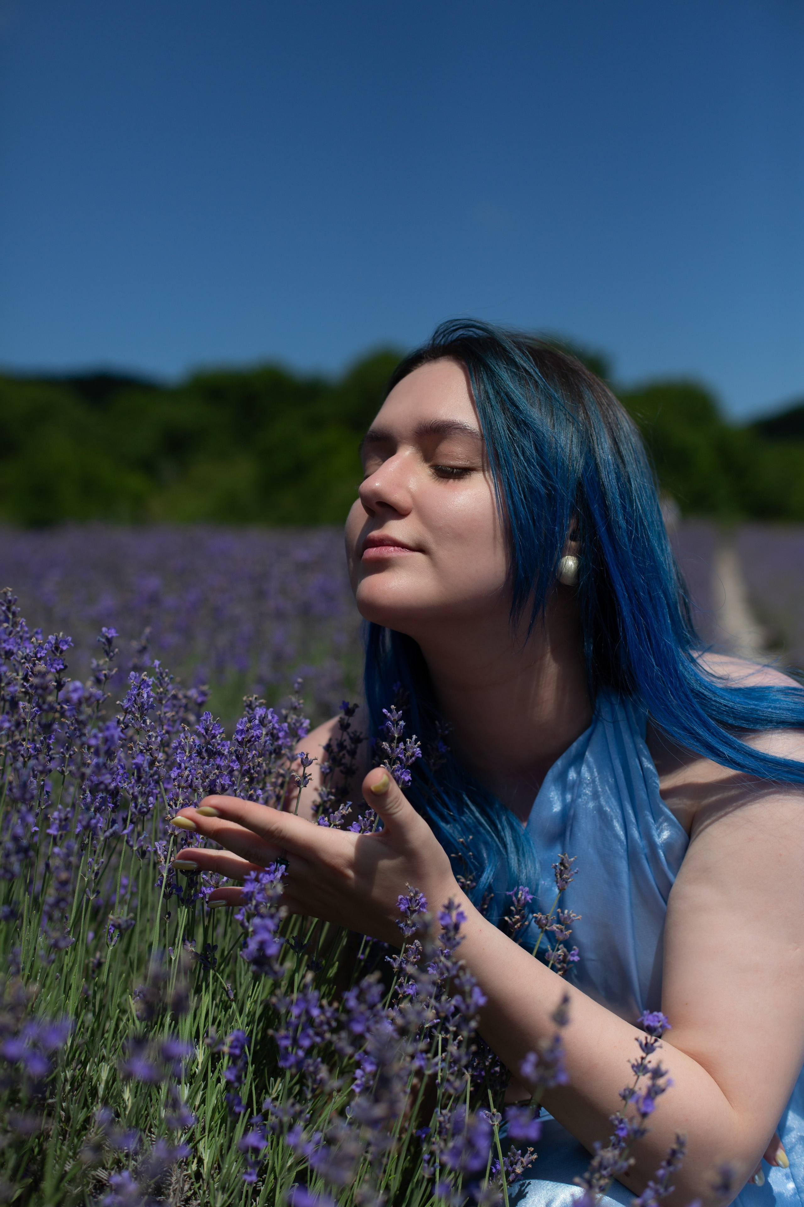 Лавандовые поля