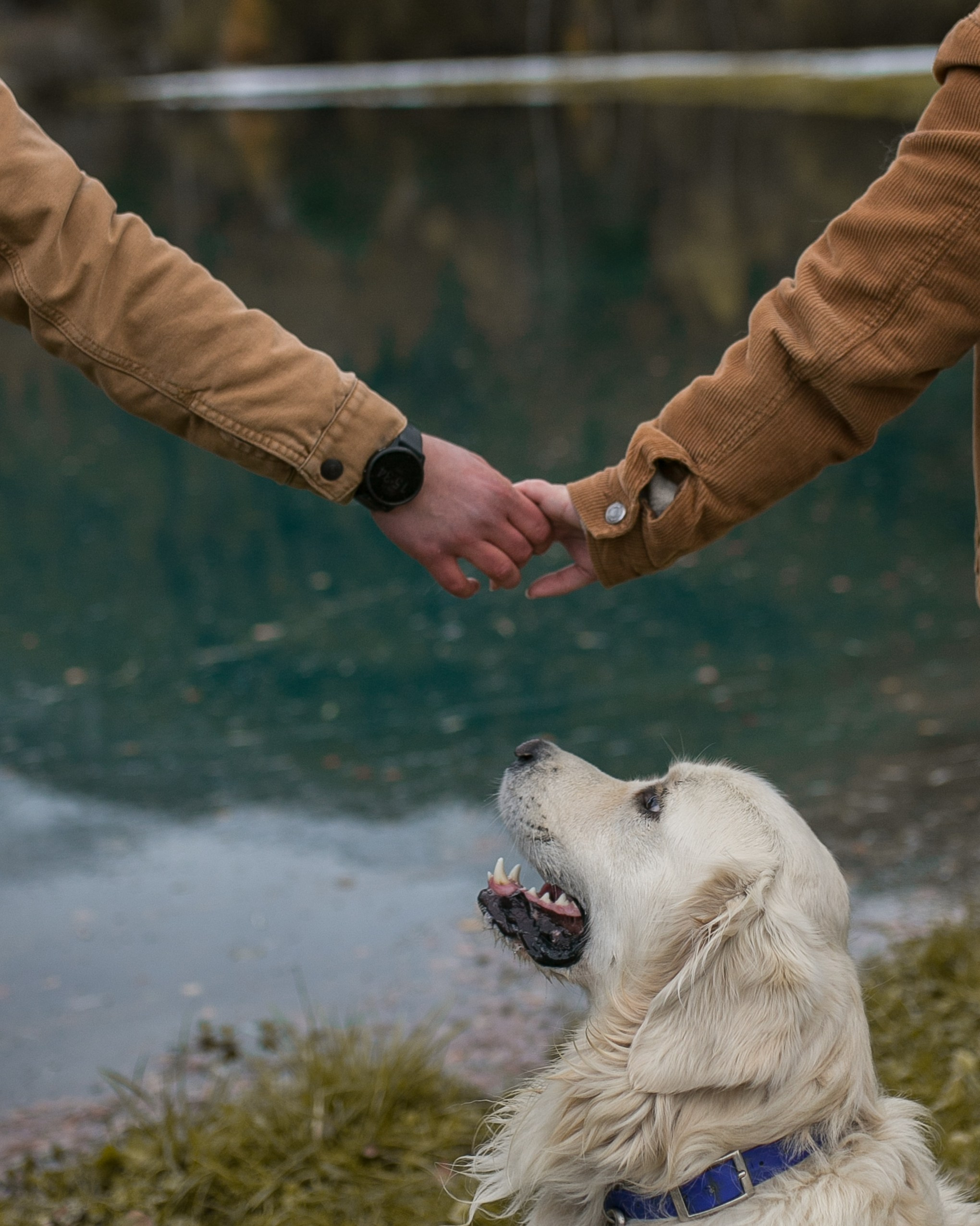 Камий и Максим (и Ральф)