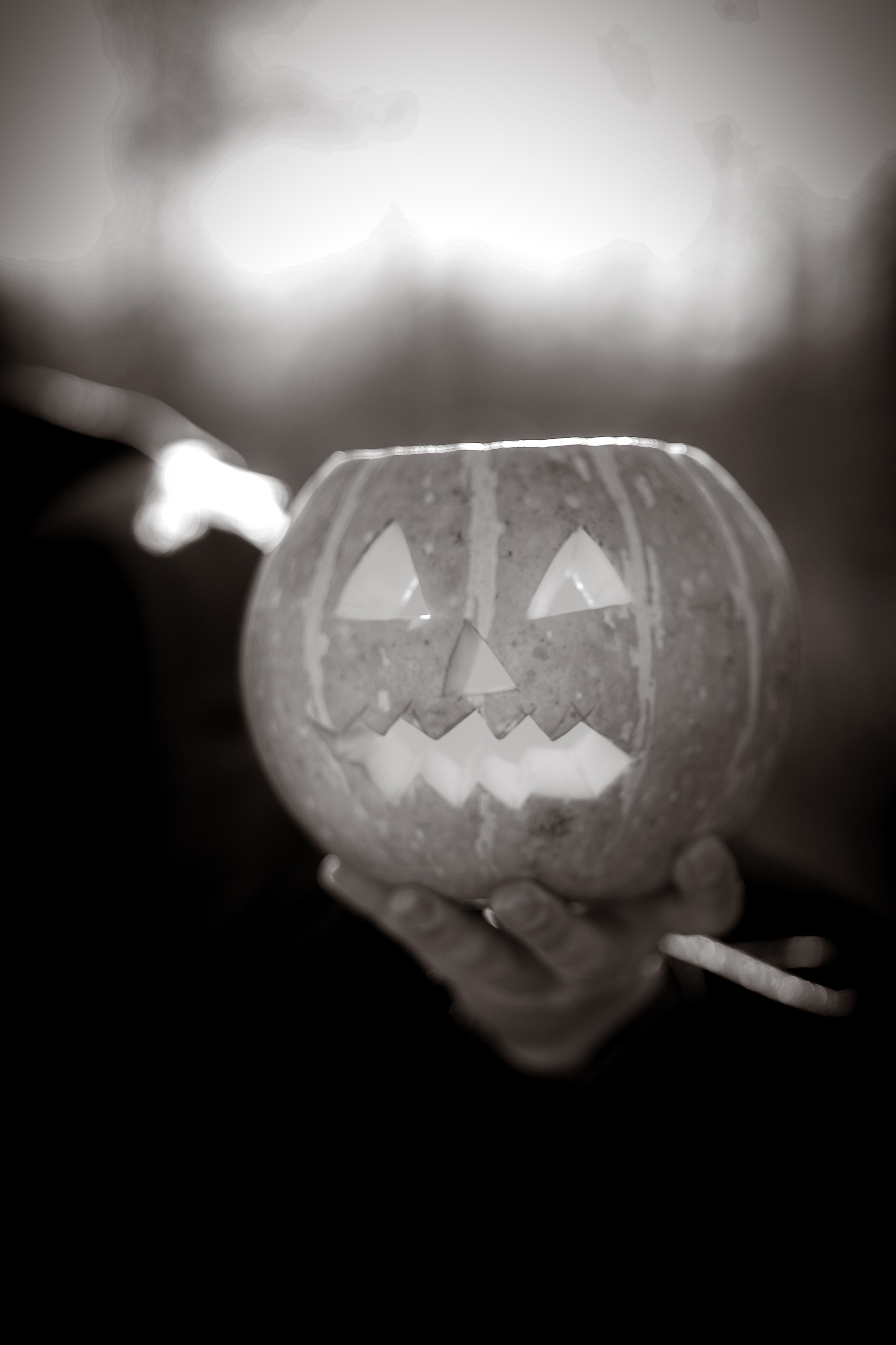 В ожидании Halloween. Art my Pho