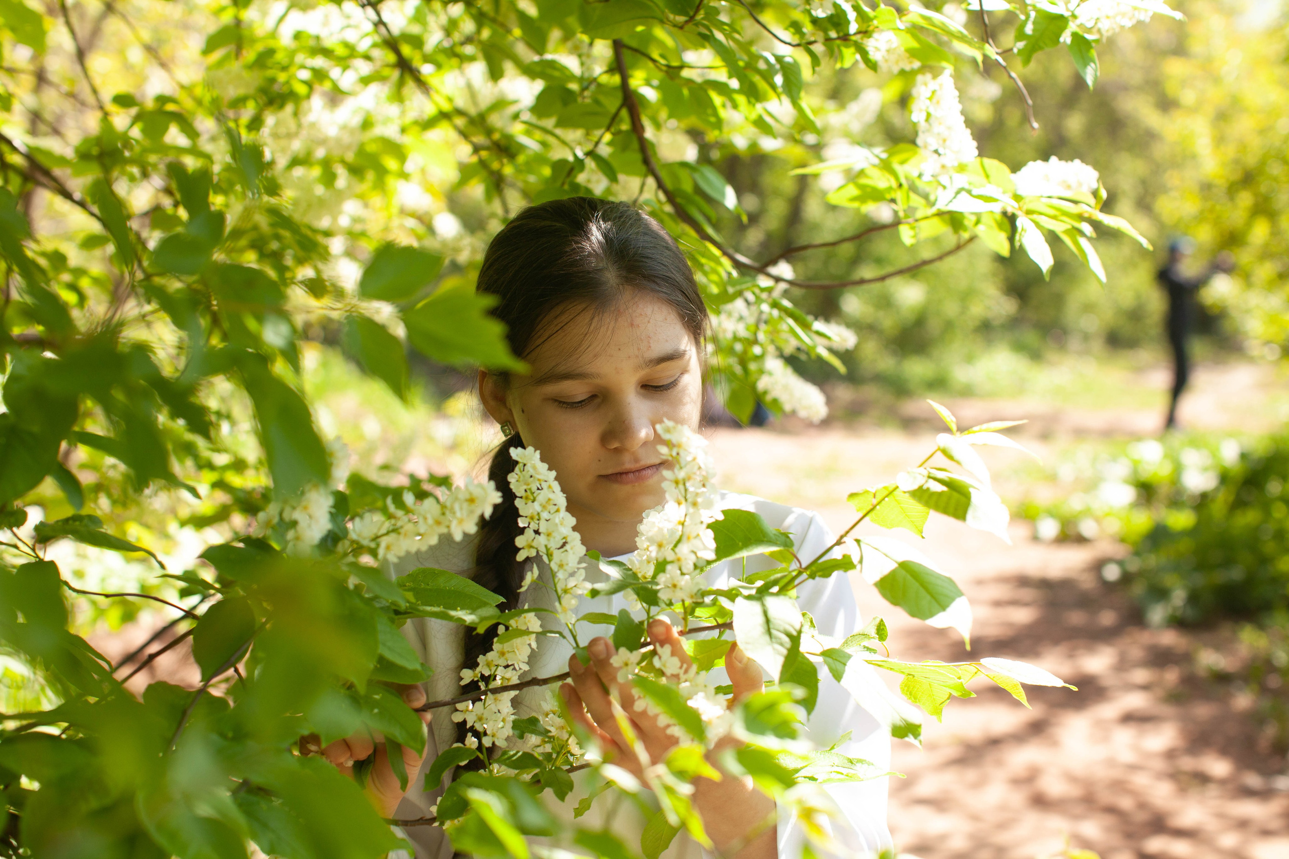 Летний день. Art my Pho