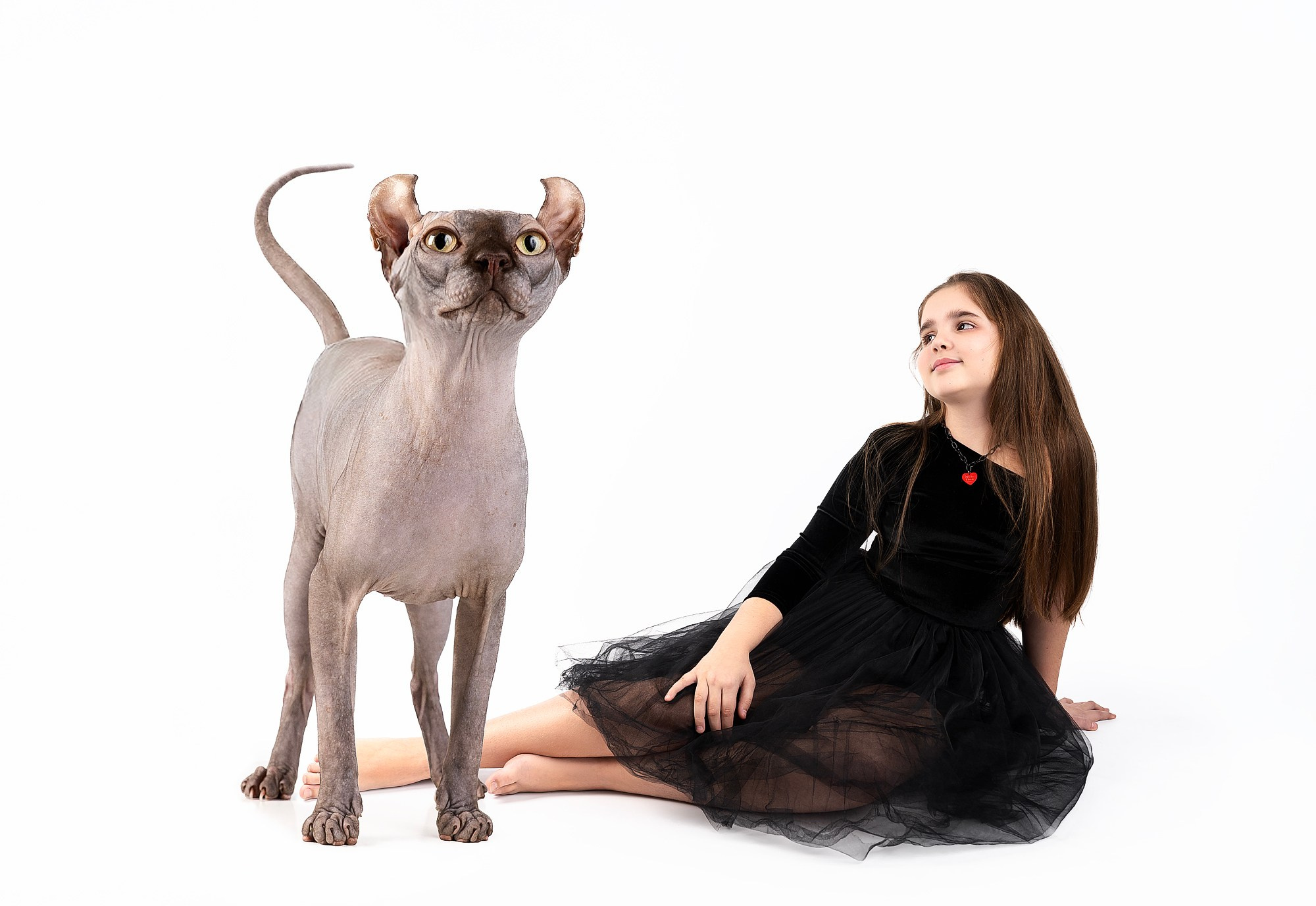 Питомцы. Фотограф новорожденных, детей до года и беременных в Симферополе