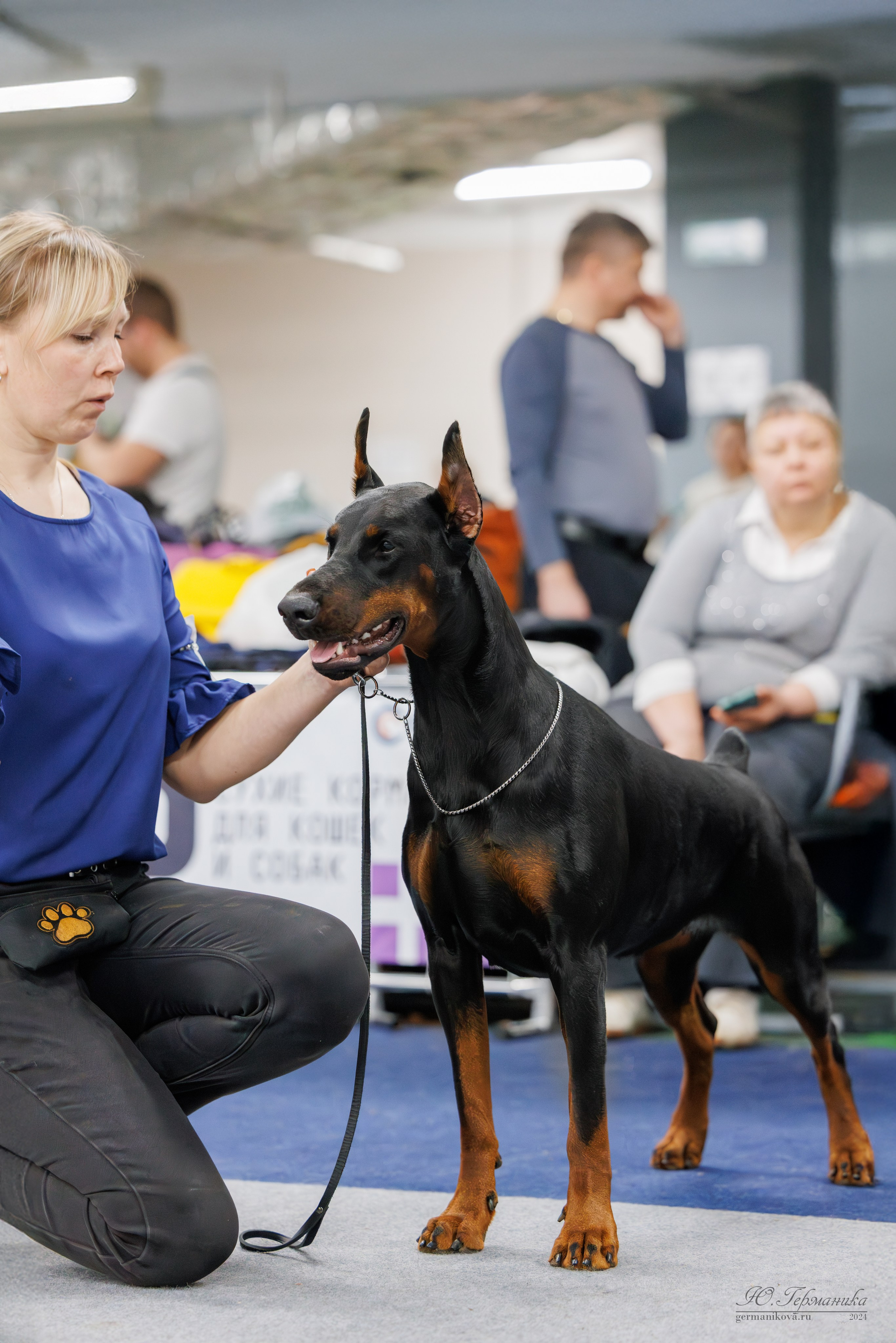 Сфера и Крокус 8,9,16 и 30.03.2025. Фотограф-анималист Юлия Германика