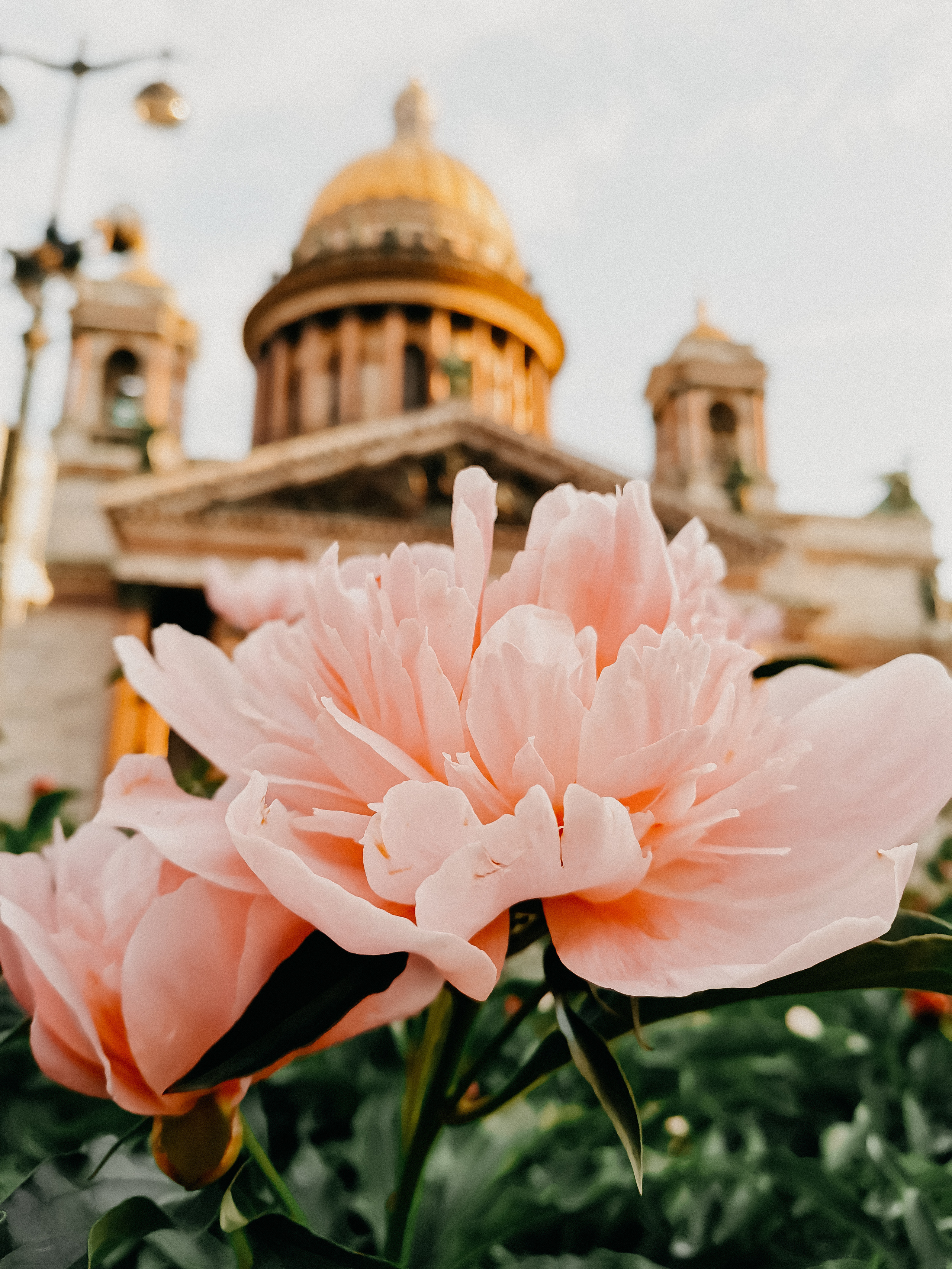 ЛУЧШИЙ ГОРОД ЗЕМЛИ. Семейный и свадебный фотограф в Петербурге Евгения и Николай Шевчук