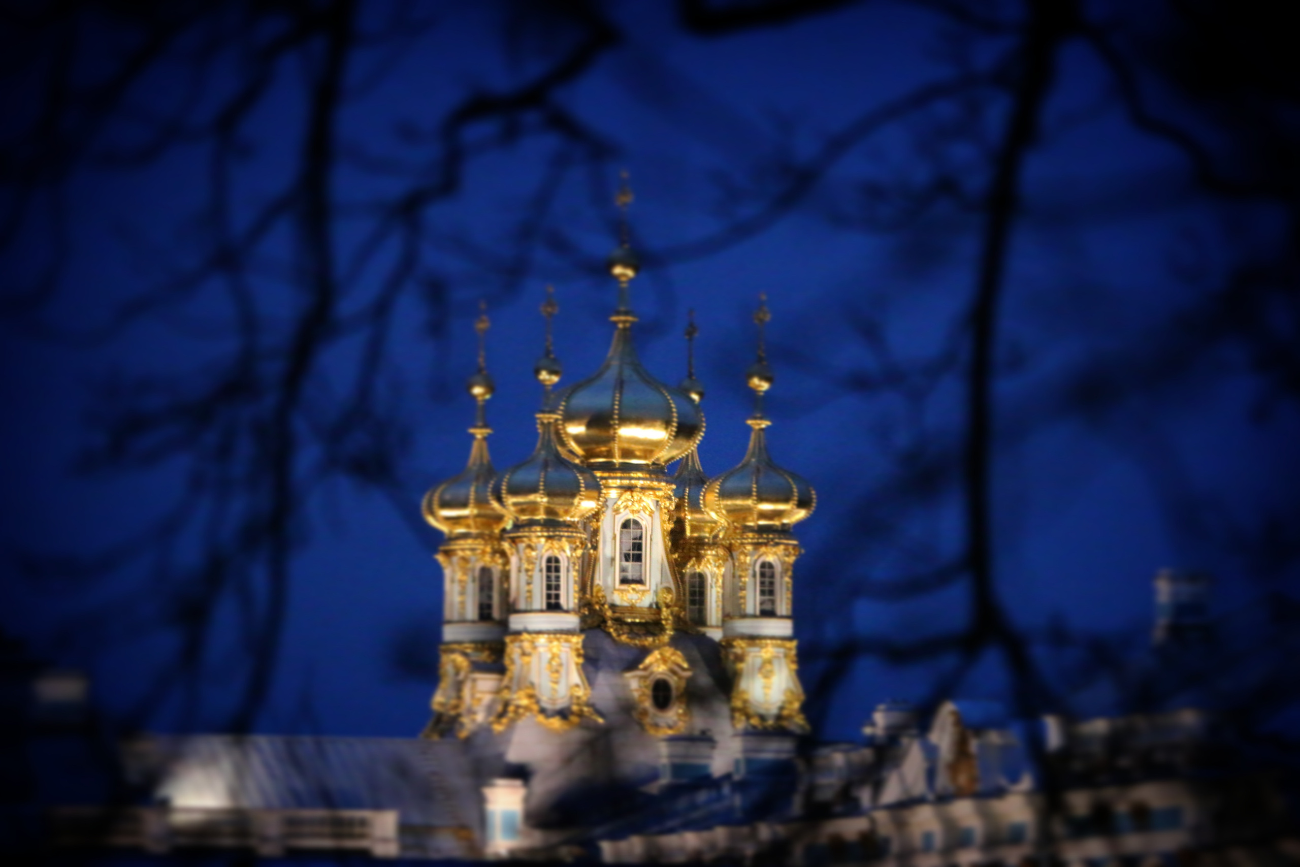 ЛУЧШИЙ ГОРОД ЗЕМЛИ. Семейный и свадебный фотограф в Петербурге Евгения и Николай Шевчук
