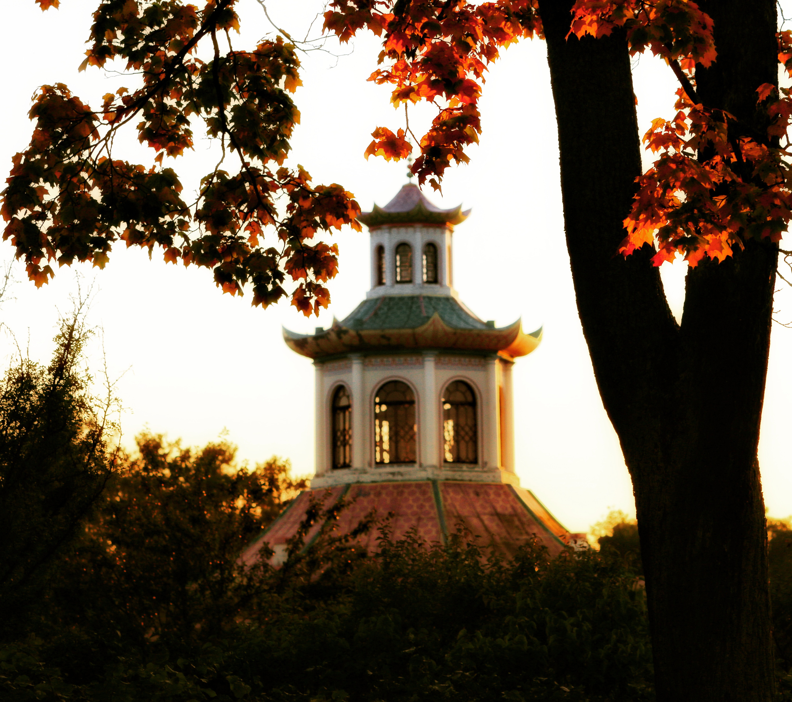 ЛУЧШИЙ ГОРОД ЗЕМЛИ. Семейный и свадебный фотограф в Петербурге Евгения и Николай Шевчук