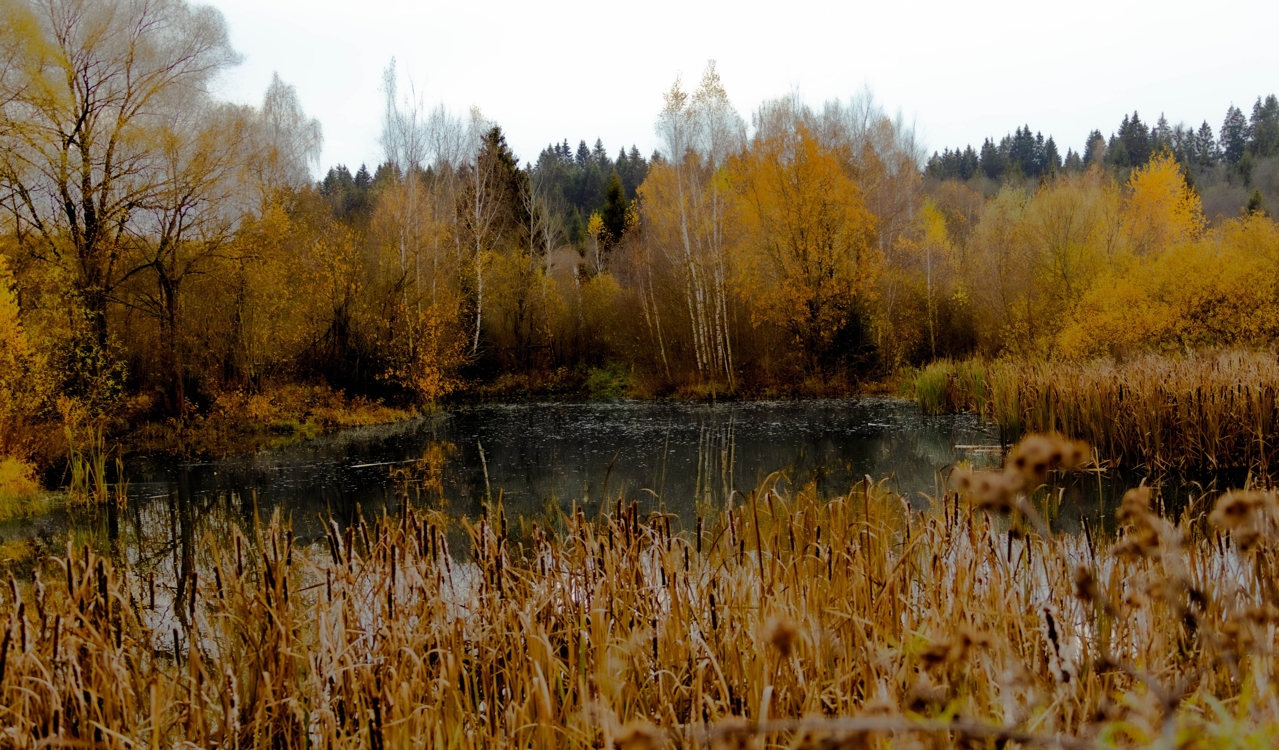 ПЛАНЕТА ЗЕМЛЯ (пейзаж). АЛЕКСЕЙ КОЛМАКОВ. Фотограф. Москва и Московская область