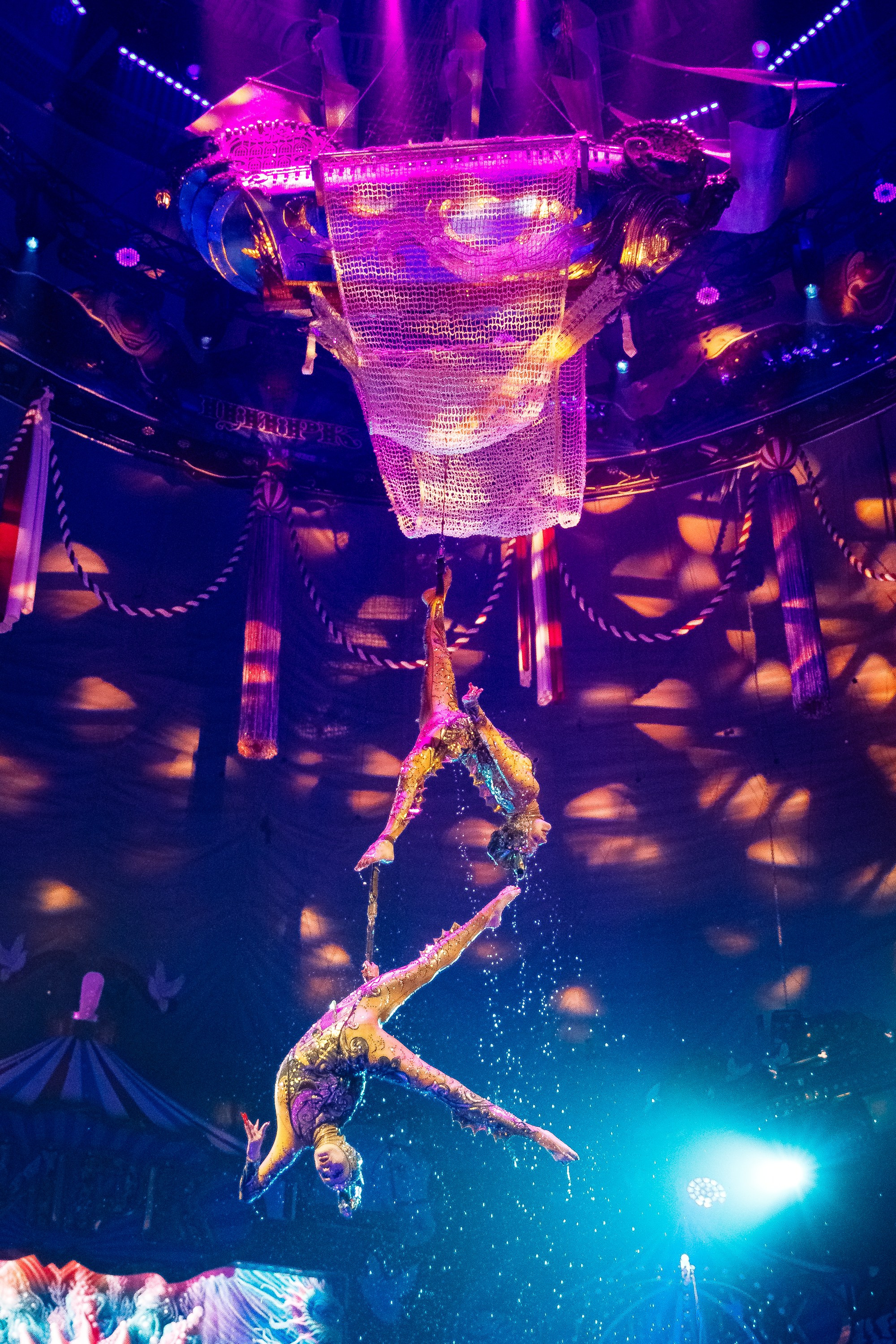 Сочинский росгорцирк Шоу Гии Эрадзе цирк. Профессиональный фотограф в Сочи Виктория Джой. Обучение