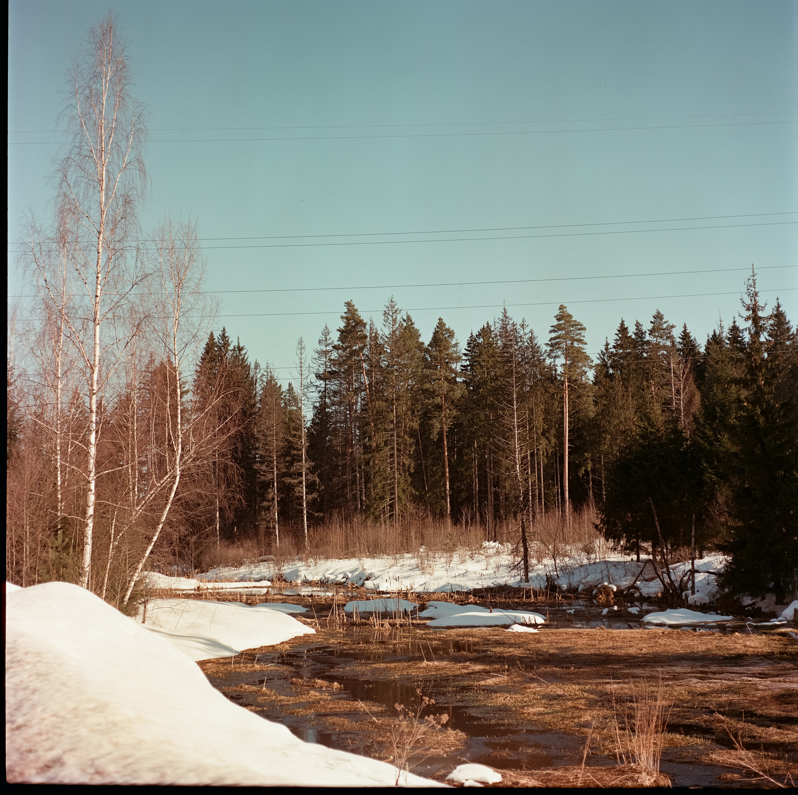 Kowa Six / Kodak Aerocolor IV C-41 / Лукино