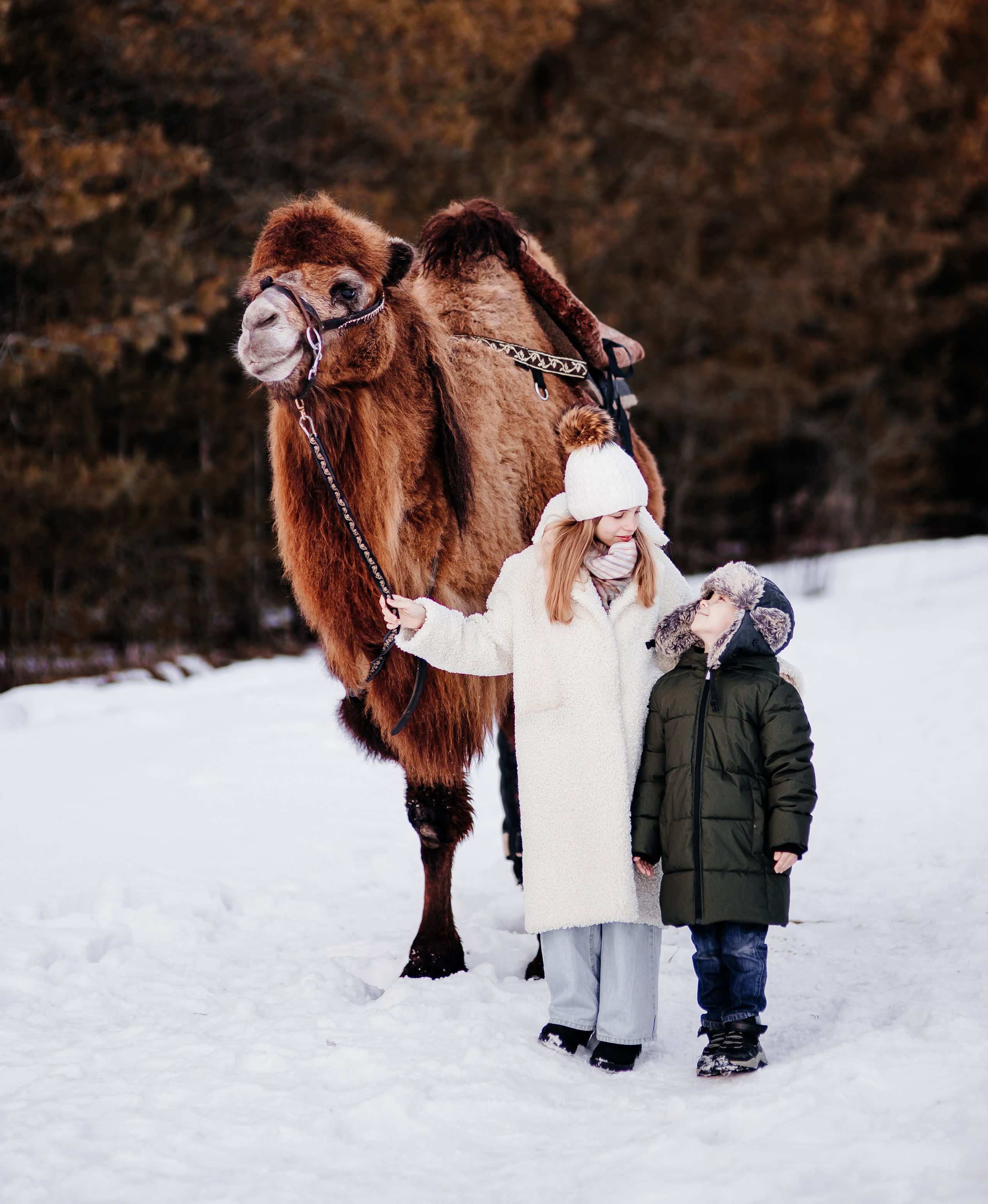Леденящее приключение. Фотосессии Фотодни Псков СПб