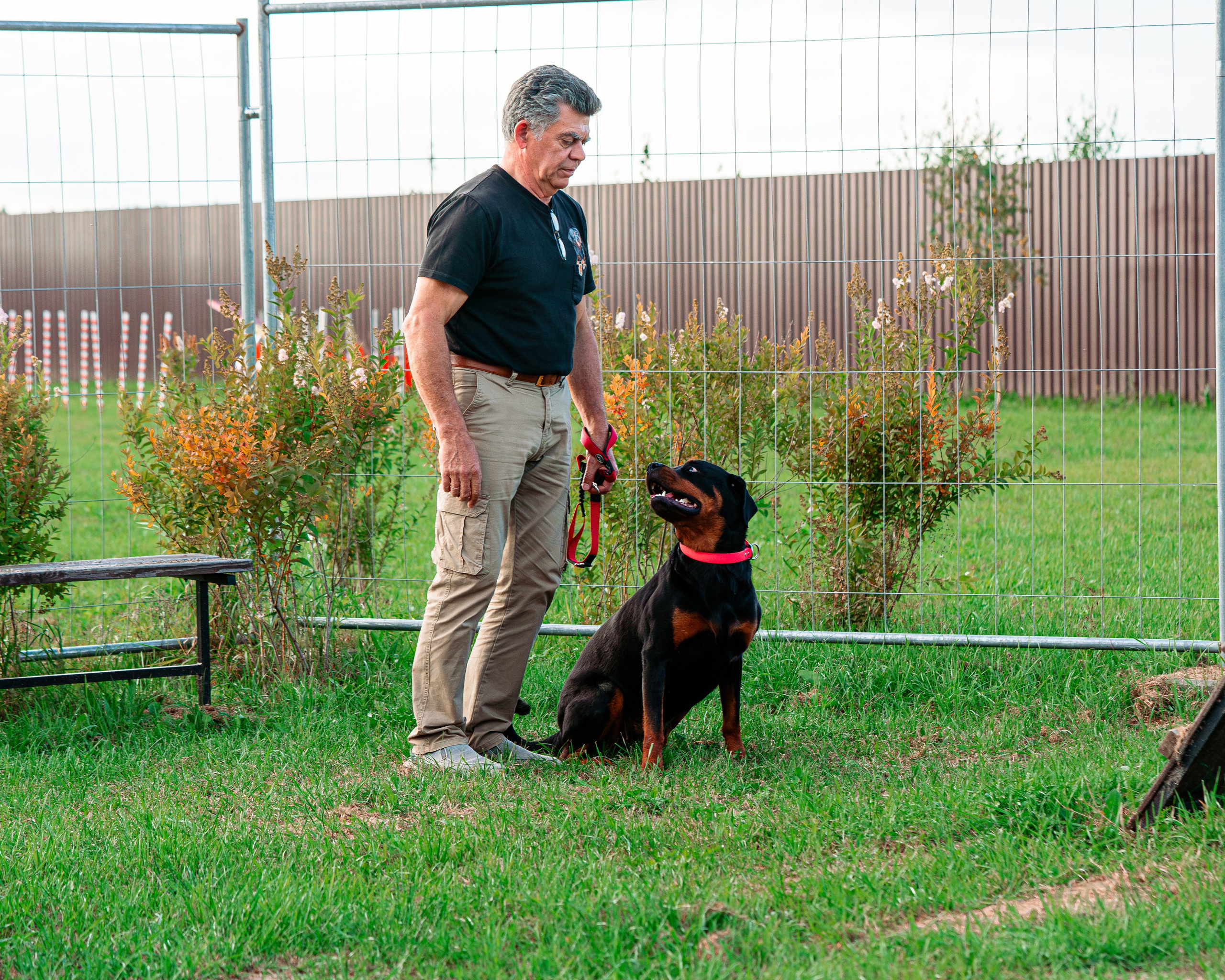Ваш путь к ПОБЕДЕ (ТРЕНИРОВКИ). Фотограф-анималист, семейный фотограф в Москве и Подмосковье. Фотосъёмка кинологических дисциплин