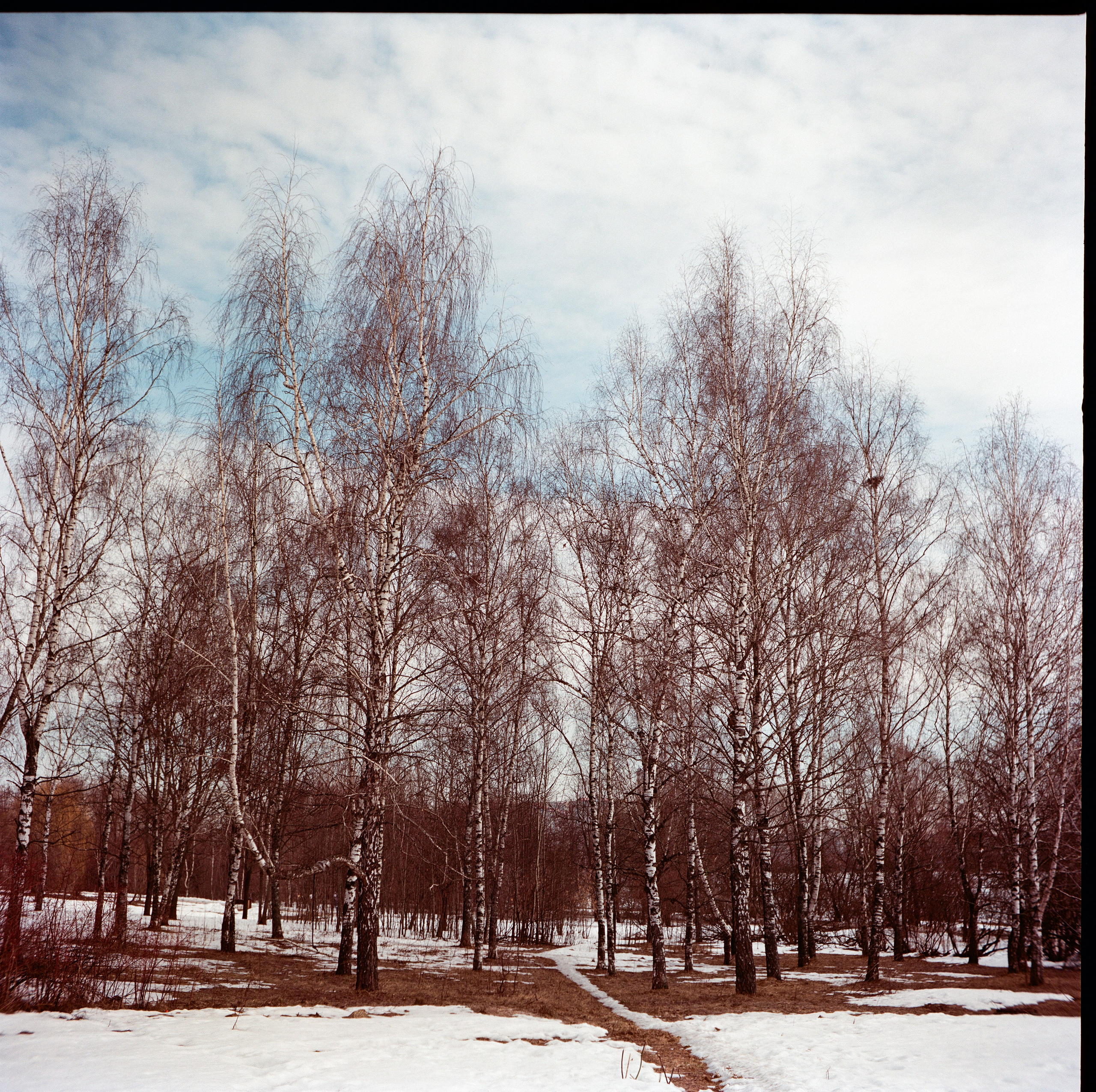 Walzflex с объективом Nitto Kogaku Kominar 75 mm f/3.5 / Aerocolor IV