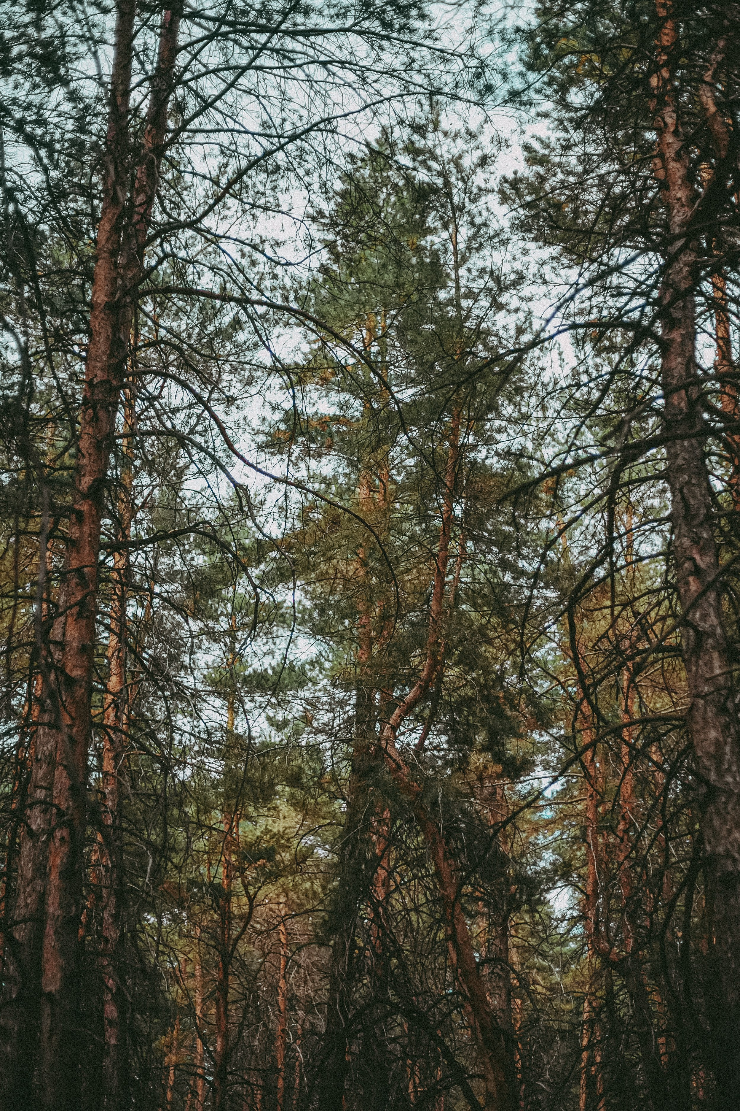 Алла и Артём. Фотограф в городе Самара Александр Гераськин
