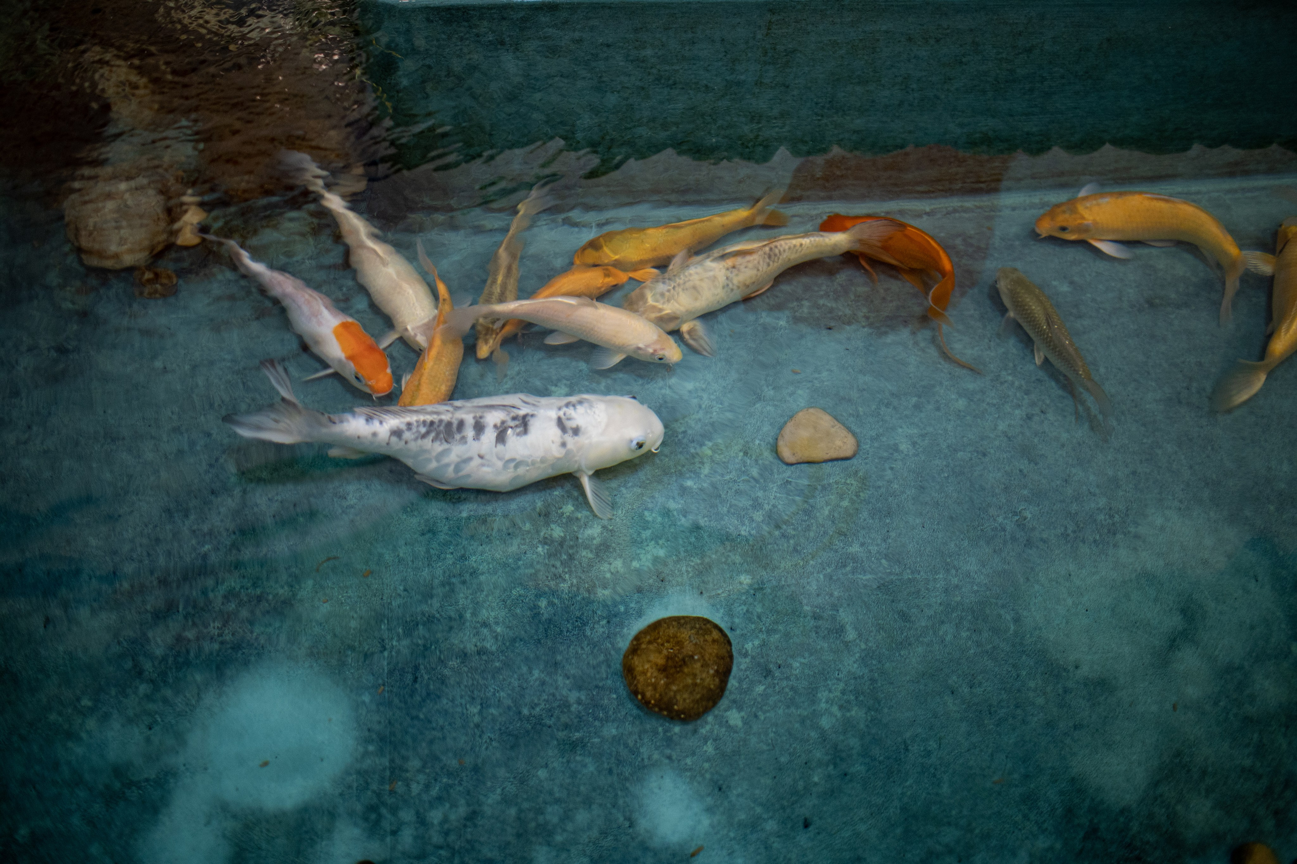 Мультимедийный центр"Дизарди». Медиапродюсер, фотограф в Минеральных Водах —Виктор Холодов