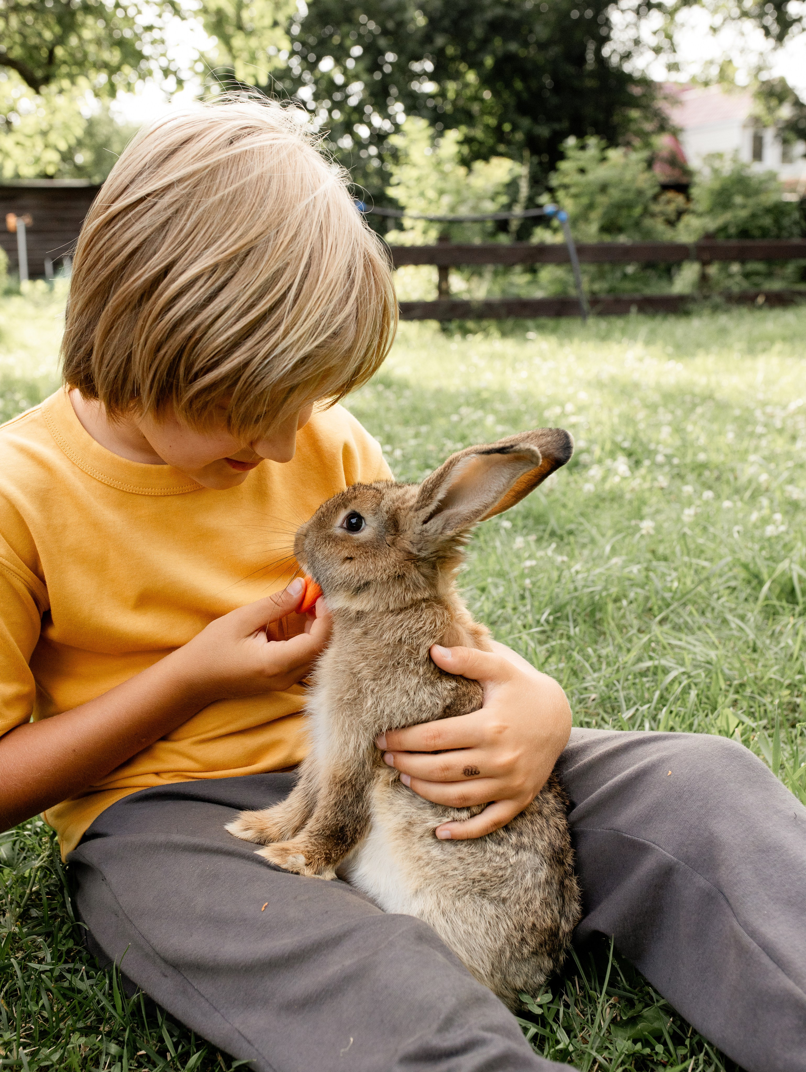 Кролики 2023. Семейный фотограф в Санкт-Петербурге Ирина Иванова