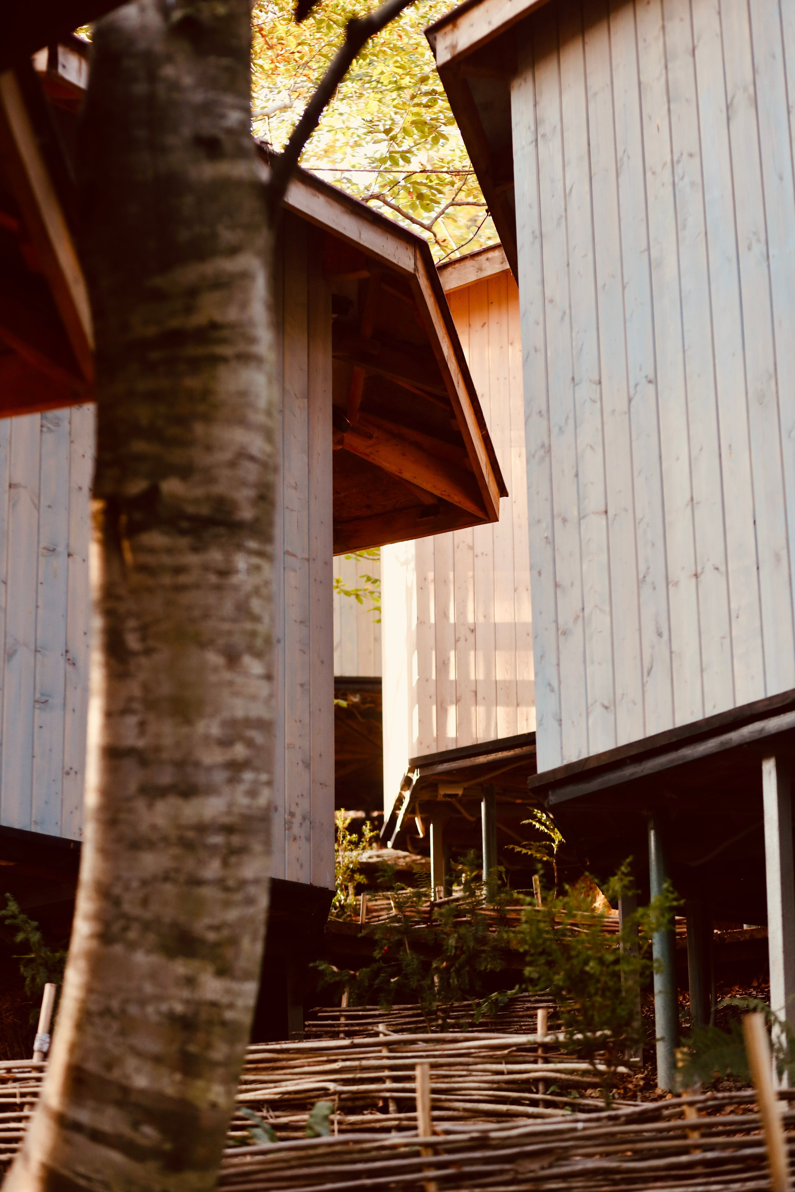 DESIGN. Maria Massouh | Arts & Art Therapy