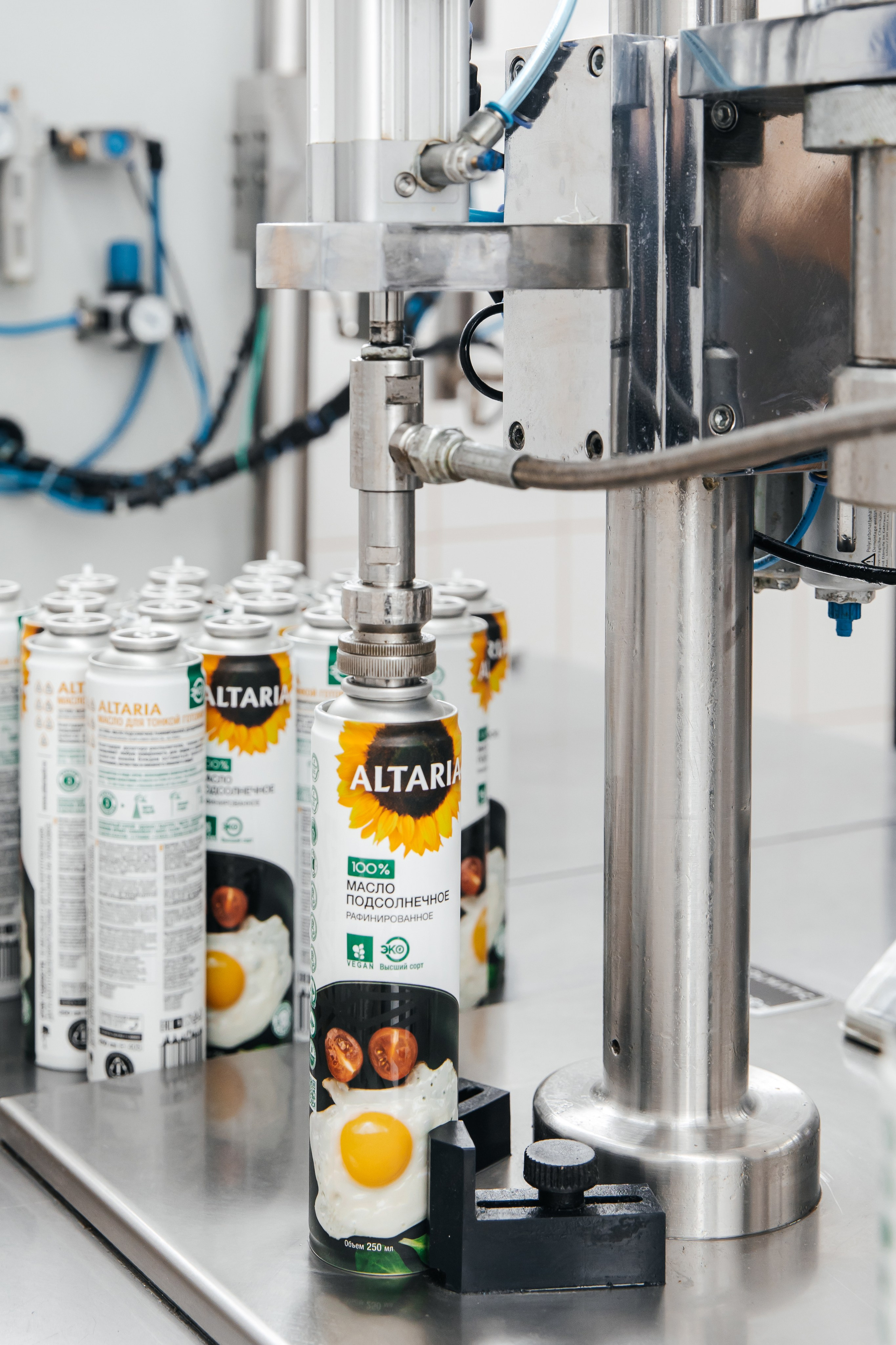 Диво Алтая. Производитель подсолнечного масла. Лихошерстов Андрей — фотограф для бизнеса из Сибири