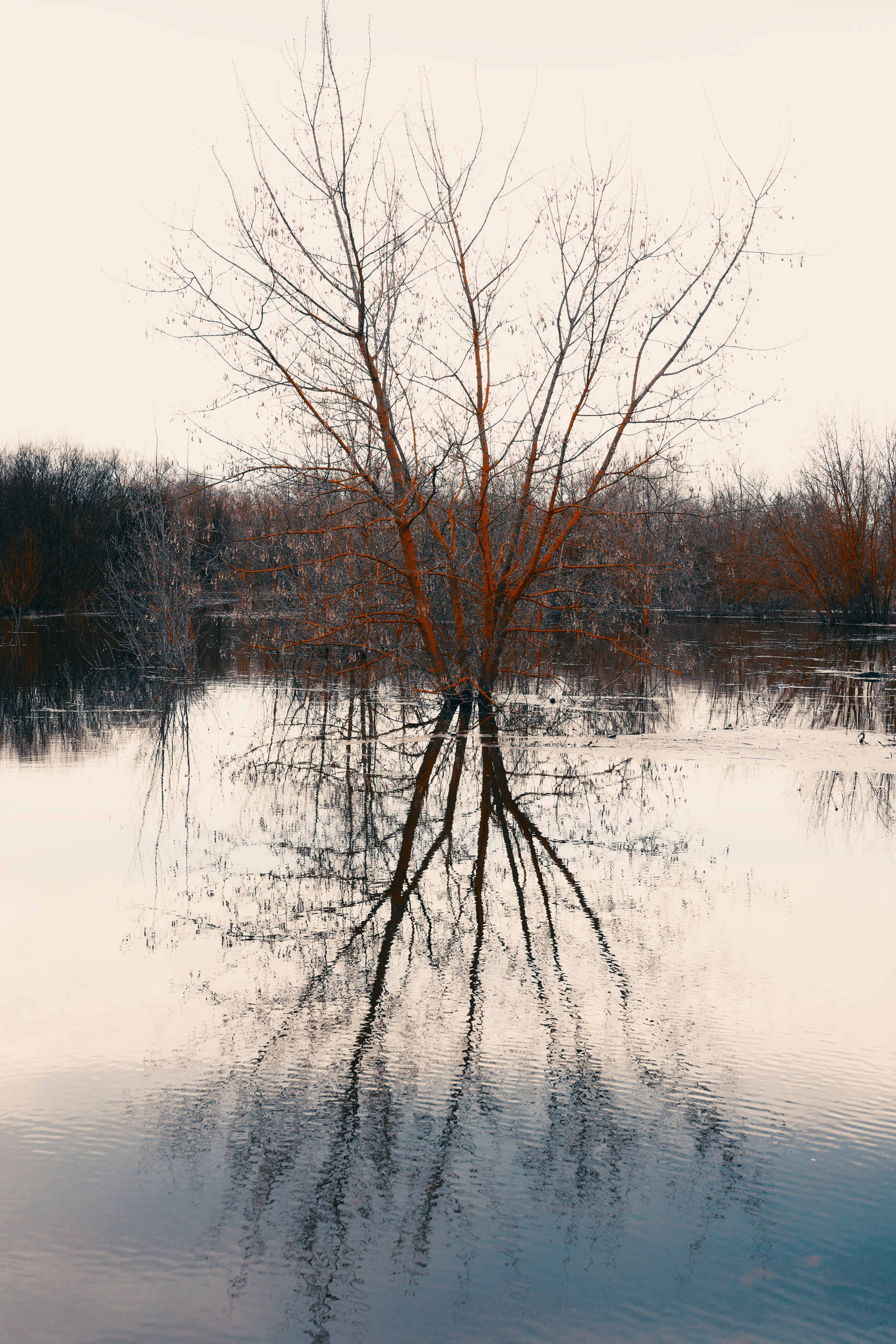 Пейзаж. Фотохудожник BID