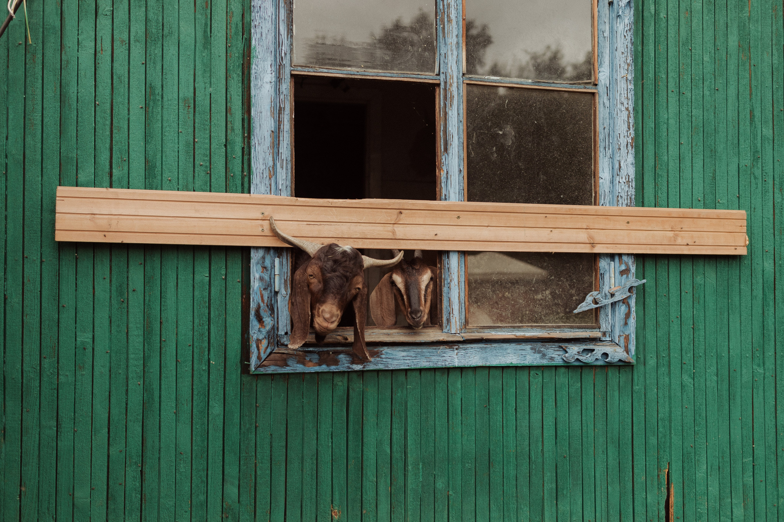 Порушка-параня. Свадебный фотограф и видеограф Новосибирск Новокузнецк Кемерово — Фото-видеодуэт