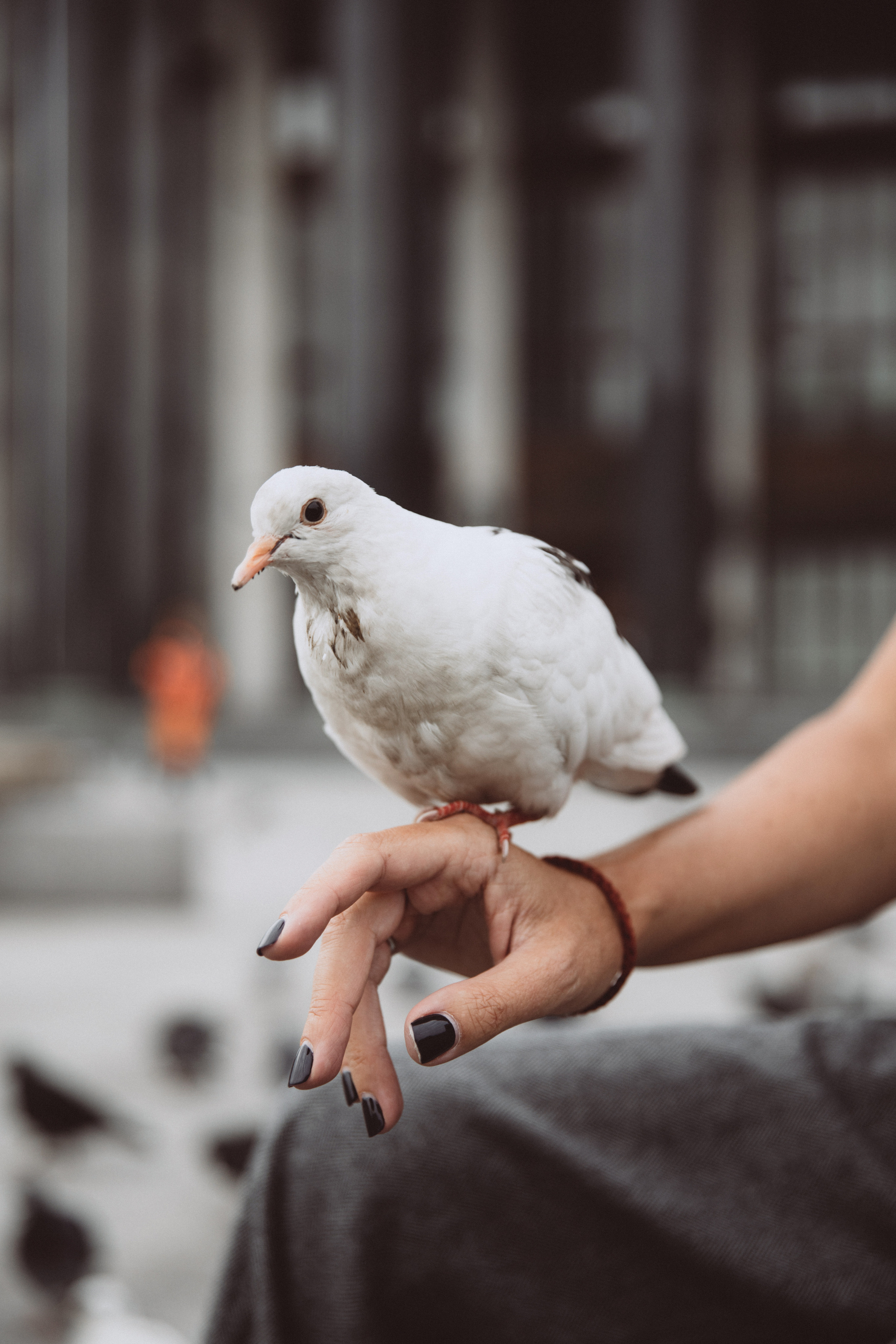 Алиса Логутенко. Москва 2021. Фотограф Сергеева Анна