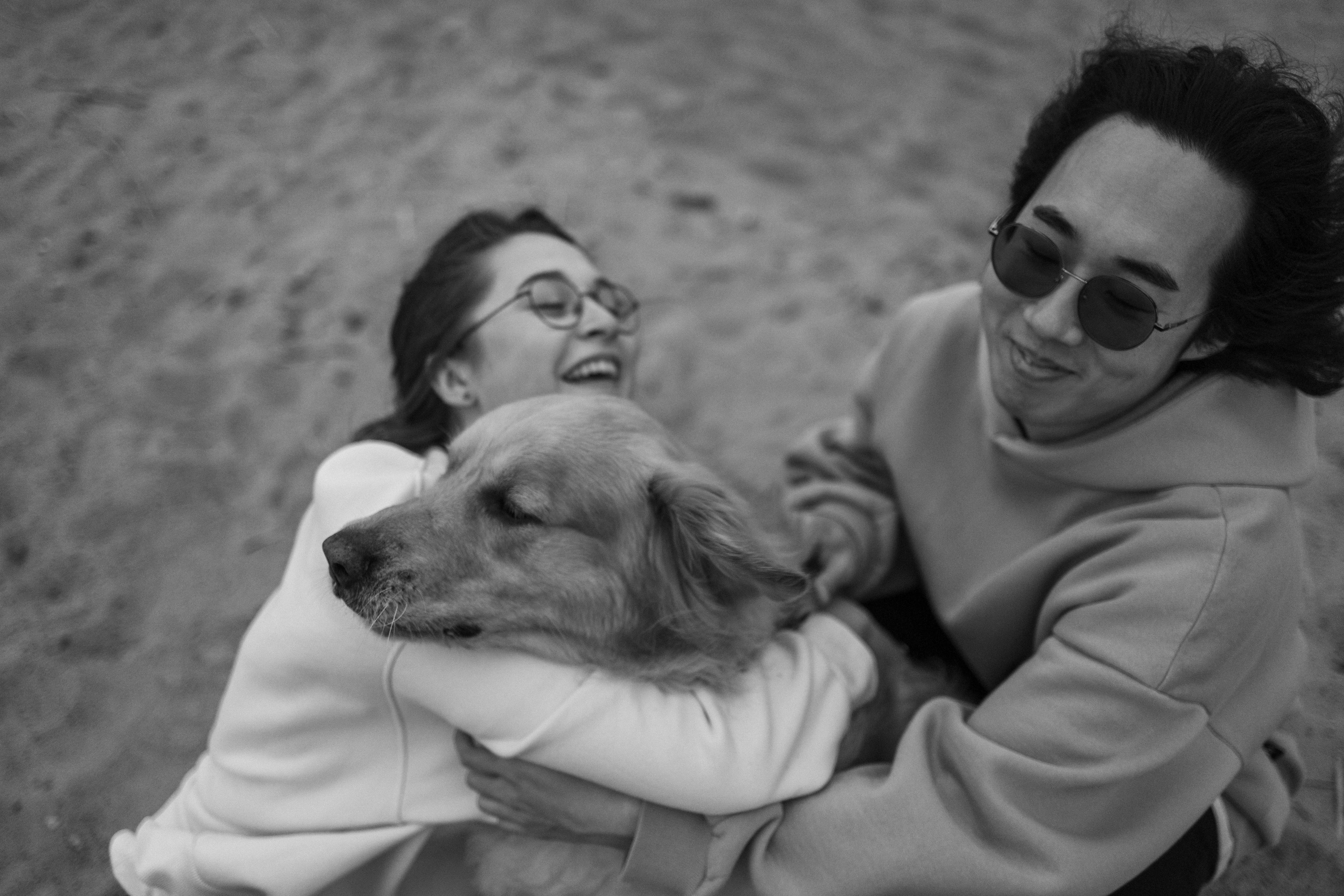 Фоси и его семьи. Фотограф — Анималист | Санкт-Петербург