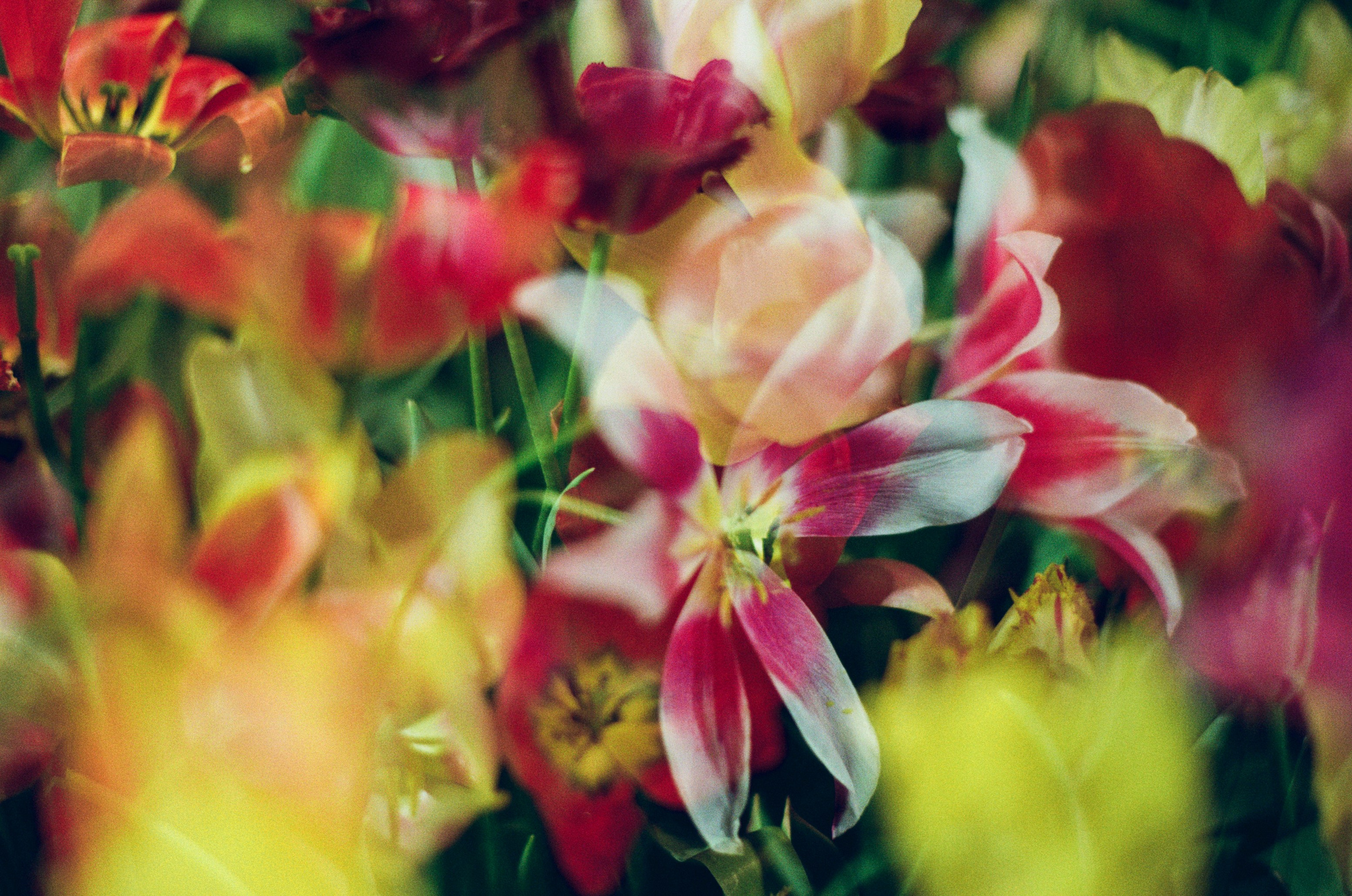 If i get high IV. EVER EXPOSED