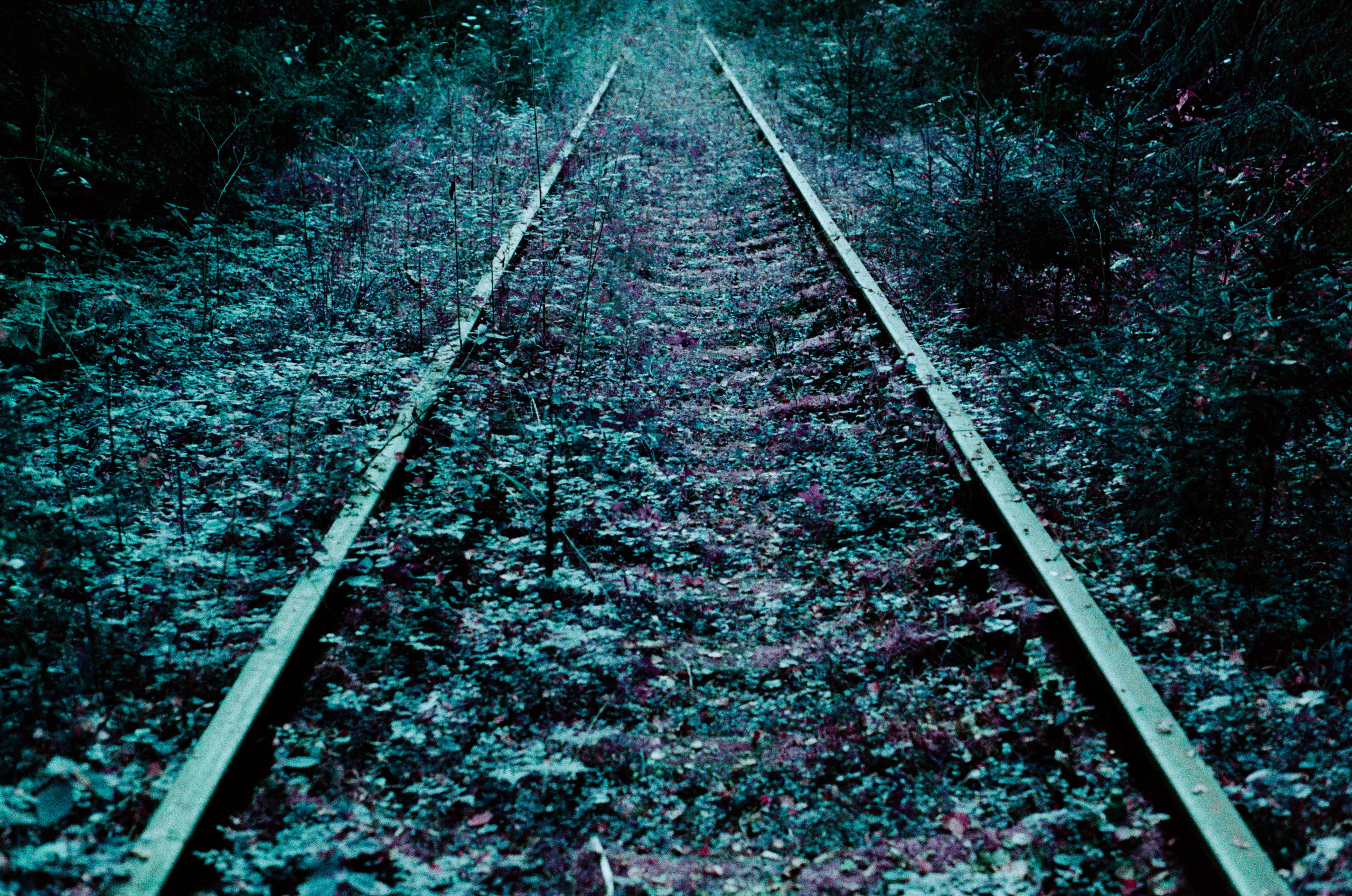 Purple overdose. EVER EXPOSED