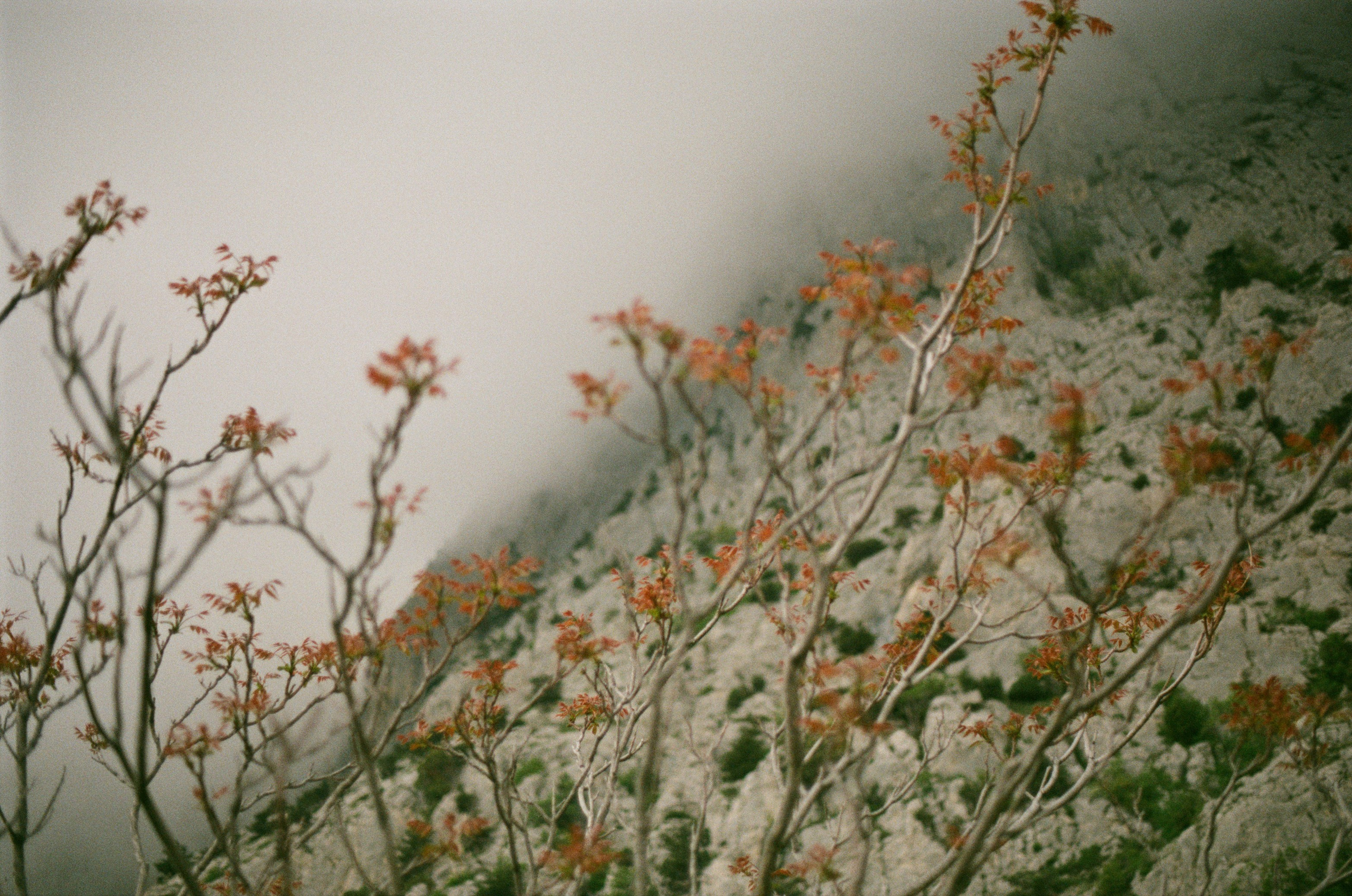 Follow you // ukraine, crimea III. EVER EXPOSED