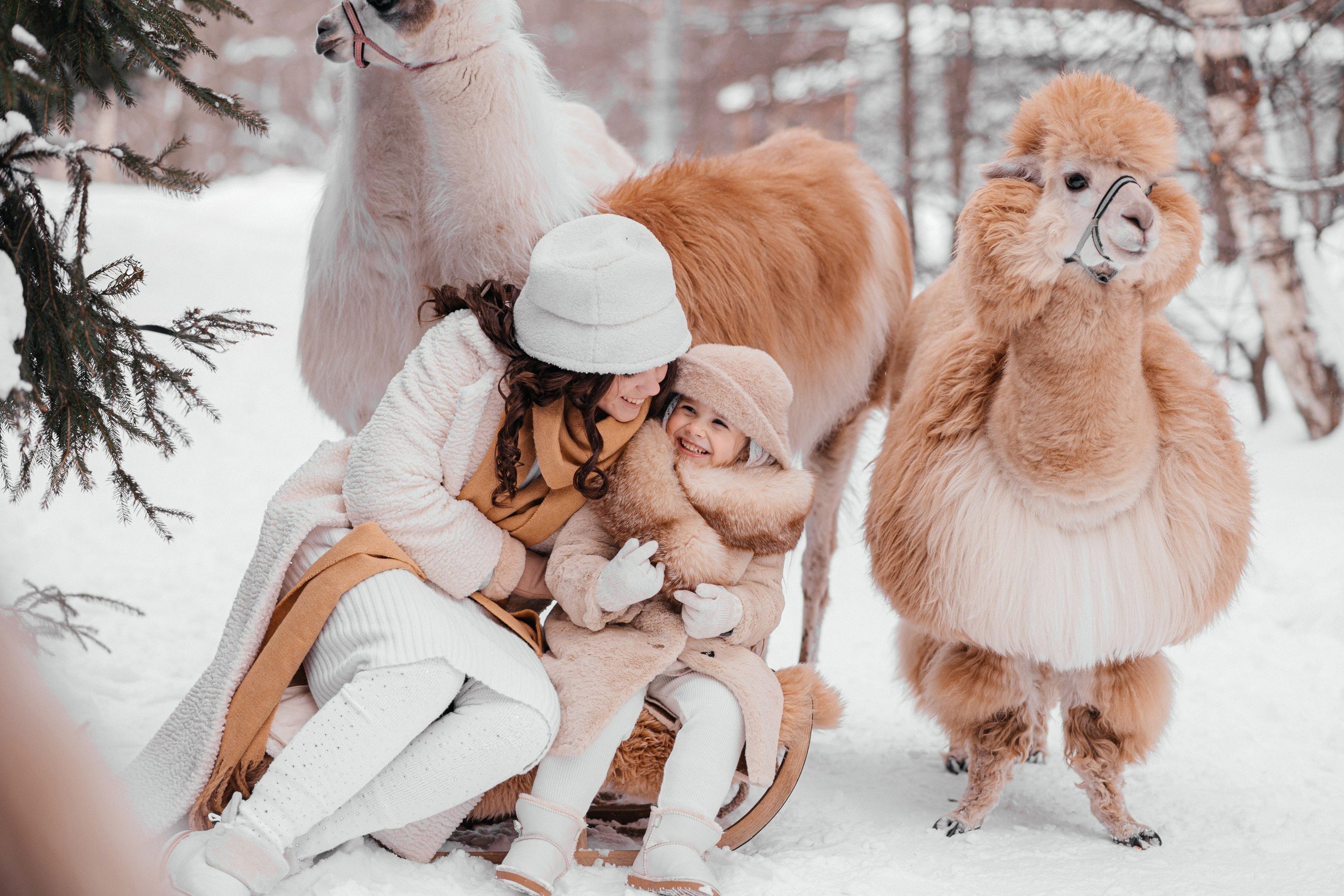 В снежном лесу. Фотограф текстиля в Москве Ольга Иванова