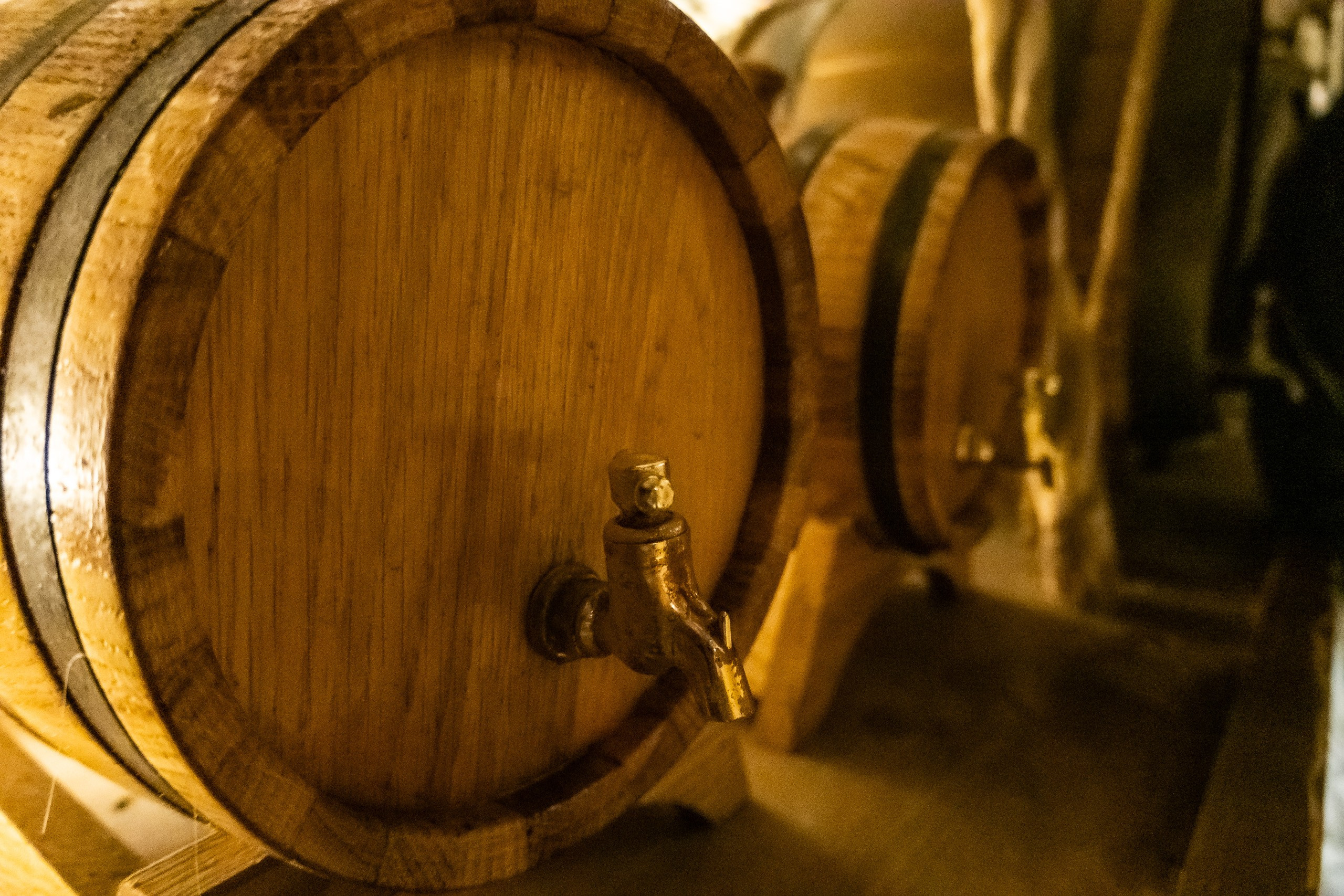 Коломенский кремль и старый город. Пейзажный фотограф Сергей Пестерев. Фото природы