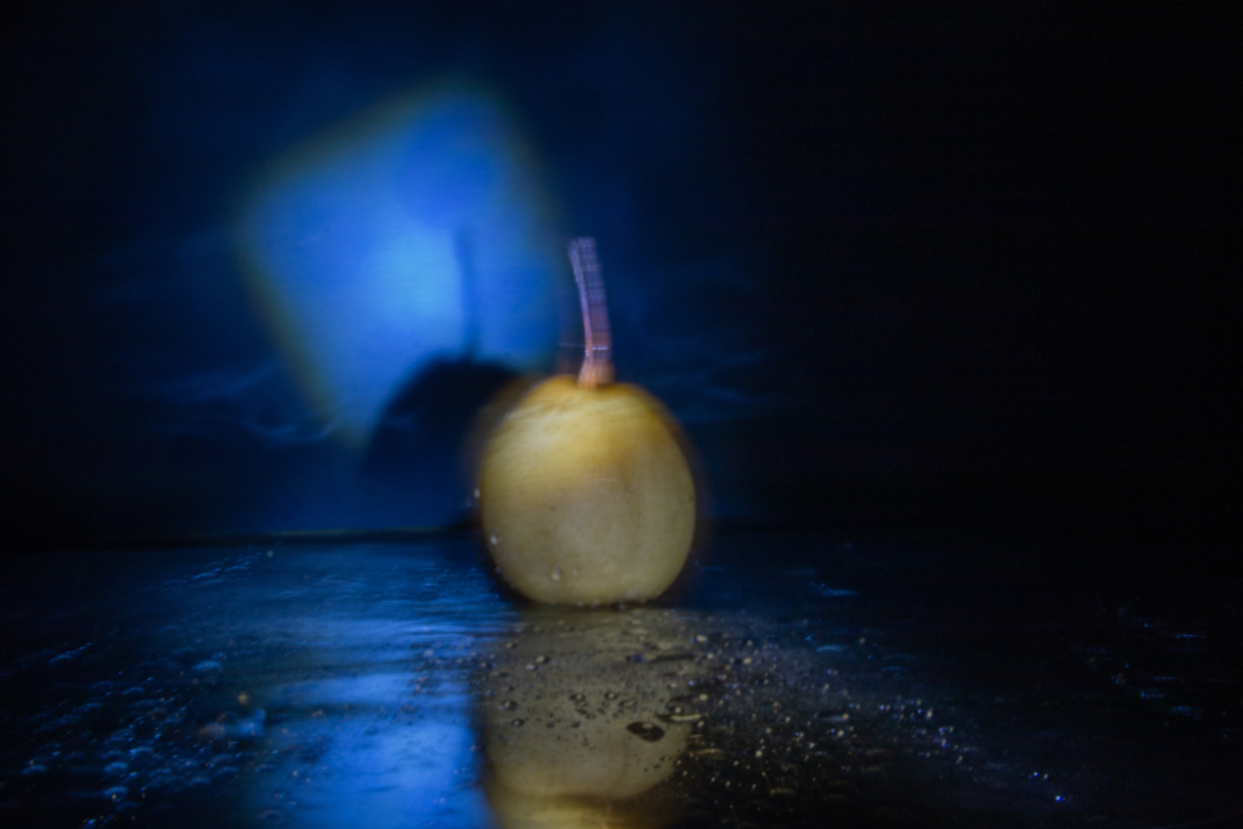 Пища для глаз. Ваш фотограф Северск | Томск