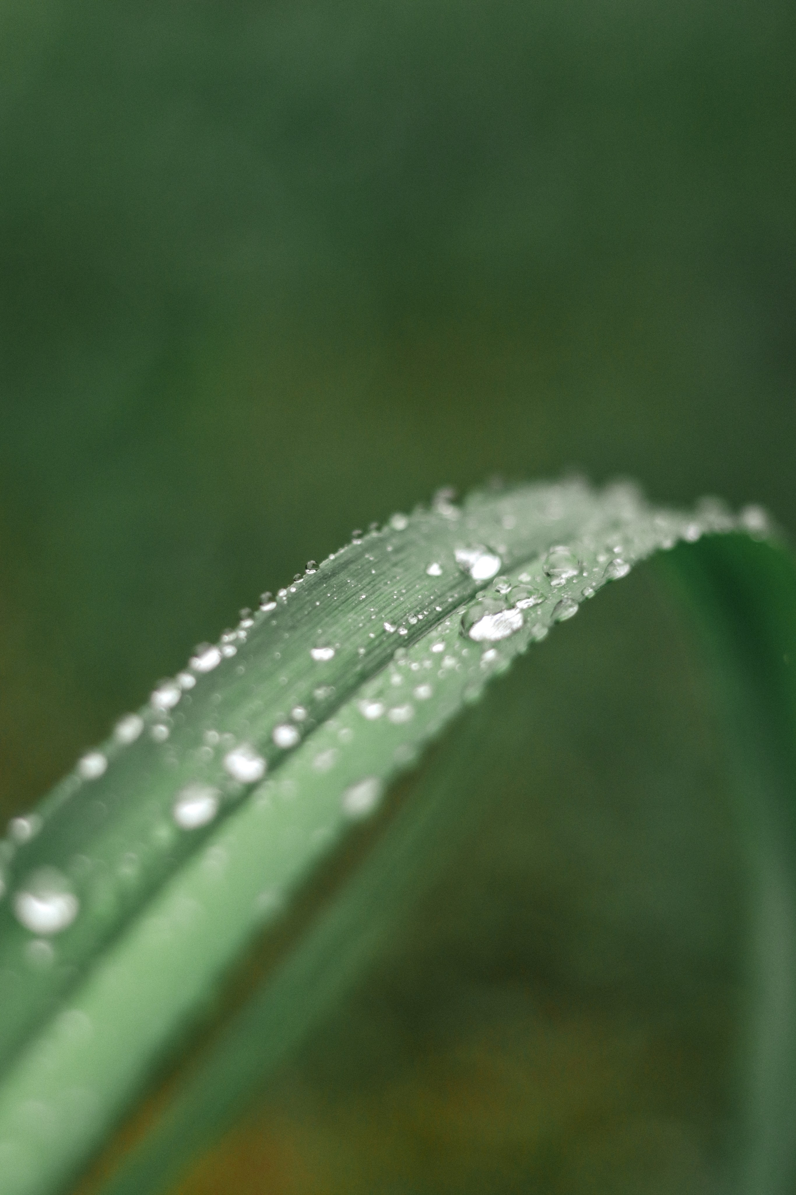 «Красный камень» база отдыха, респ. Алтай. Контент фотограф Дмитрий Борисов