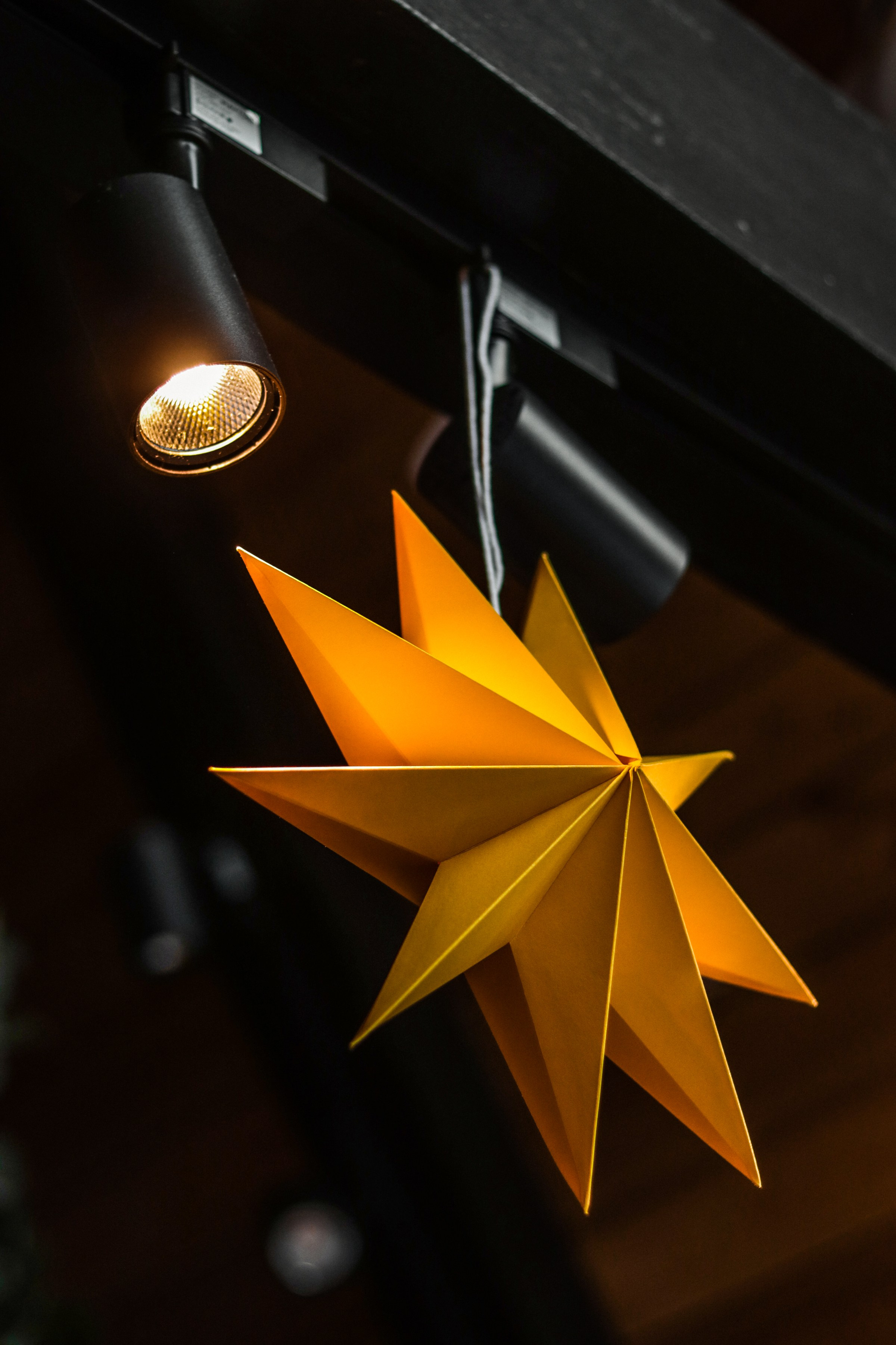 «Белкин дом» глэмпинг, г. Белокуриха. Контент фотограф Дмитрий Борисов