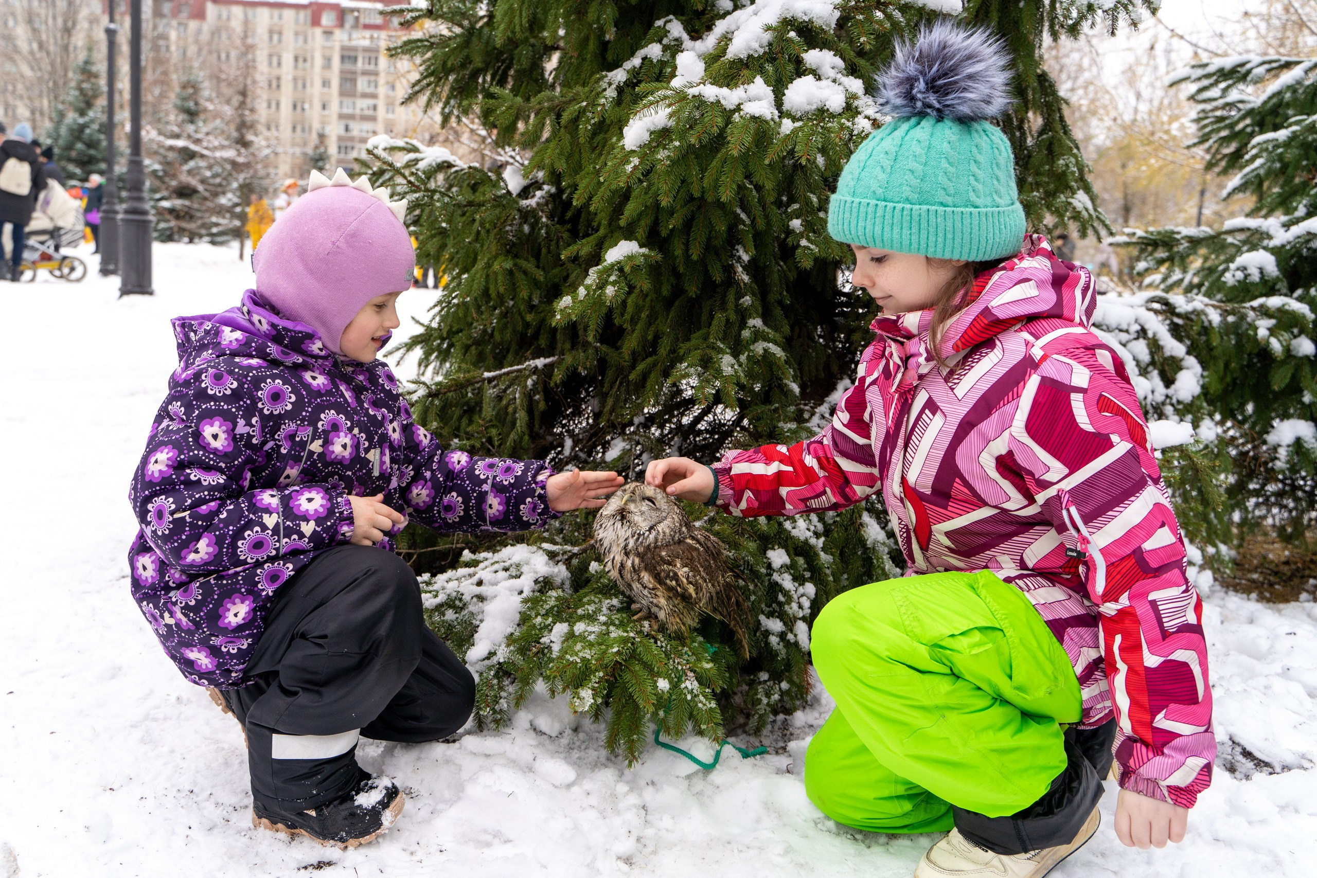 Новогодние гуляния на Васильевском острове. Фотограф в Санкт-Петербурге, фотодни в СПБ