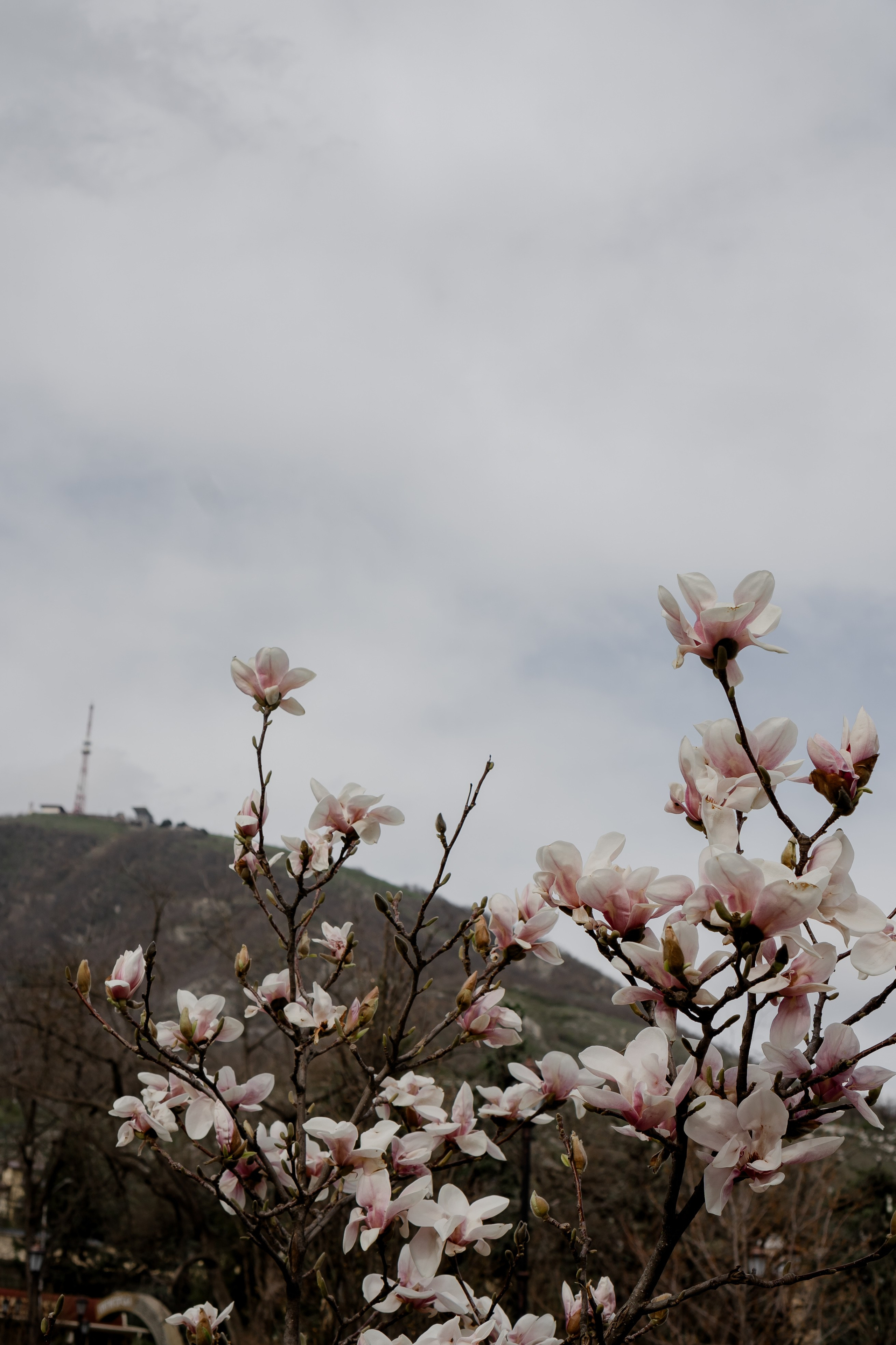 ПЯТИГОРСК. Профессиональный фотограф, Санкт-Петербург — Виктория Богомолова