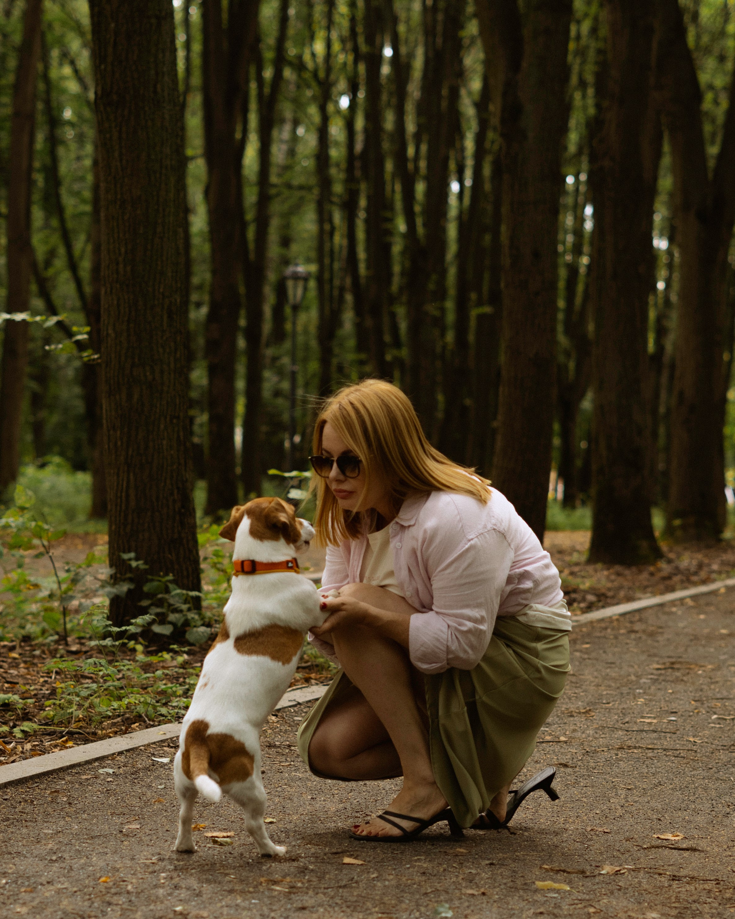 Катерина и Бруки. Фотограф в Москве Шалышко Ангелина