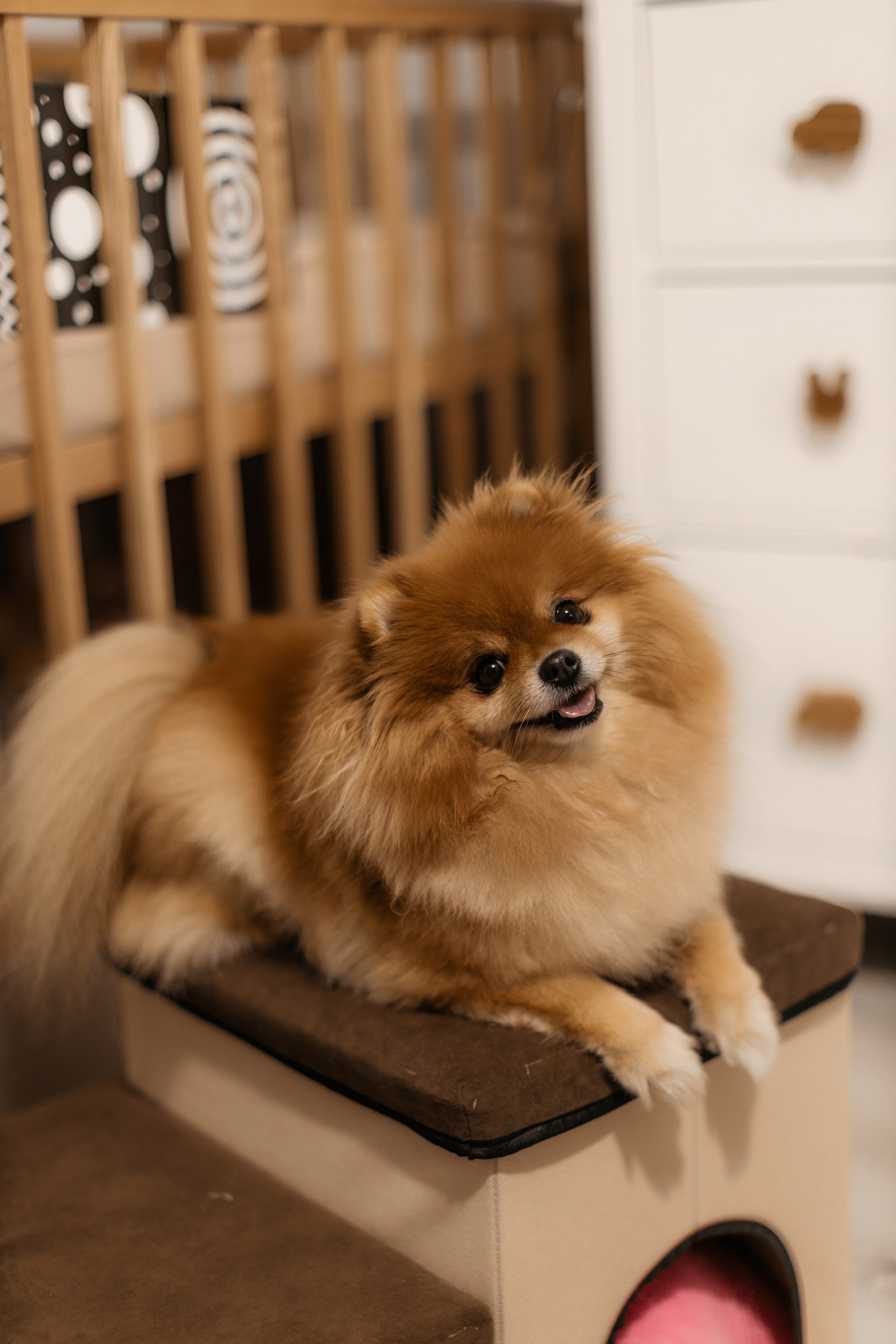 1. Свадебный фотограф Челябинск