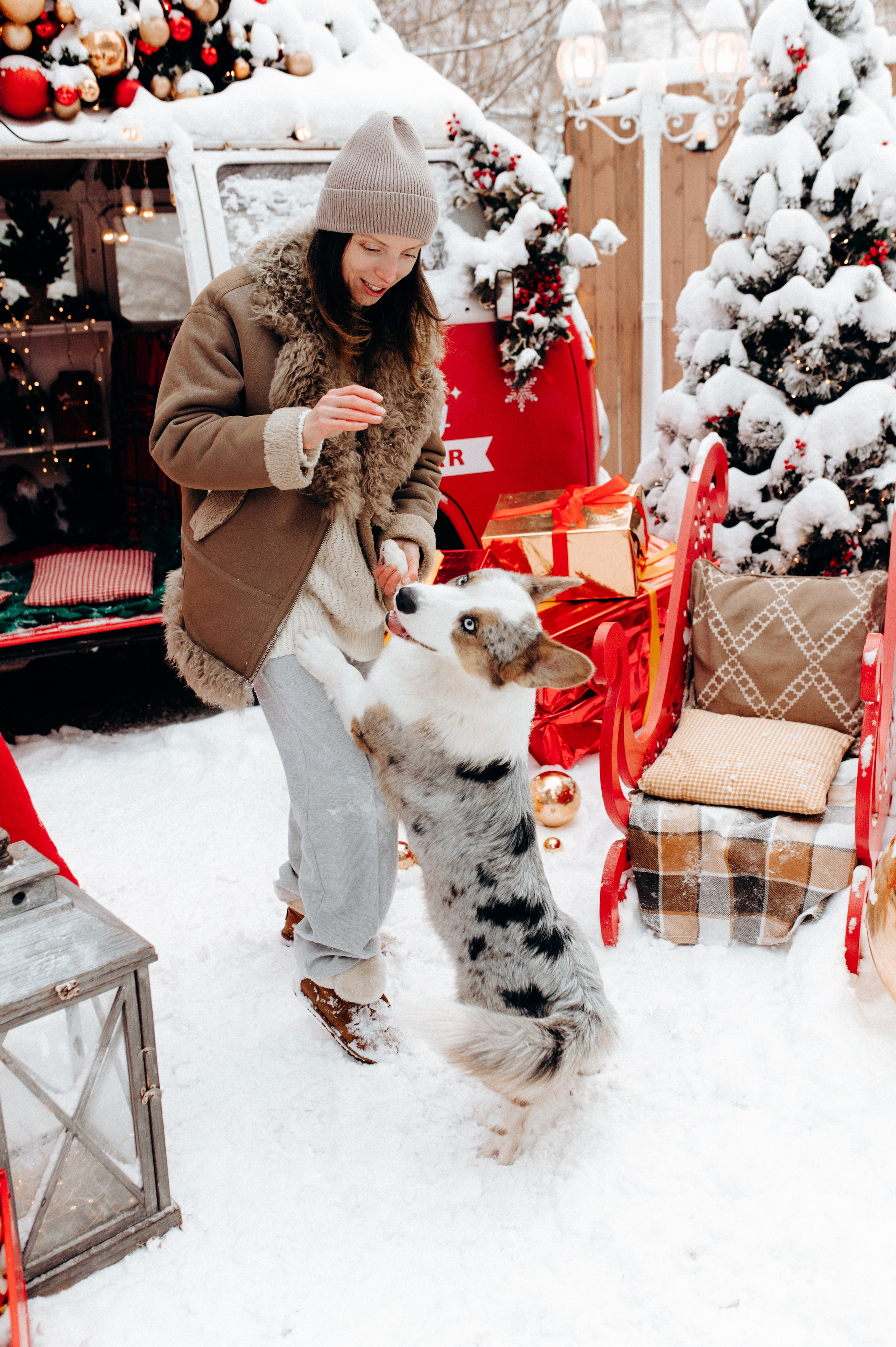Маша и Дэф. Фотограф анималист в Москве Ольга Агушева