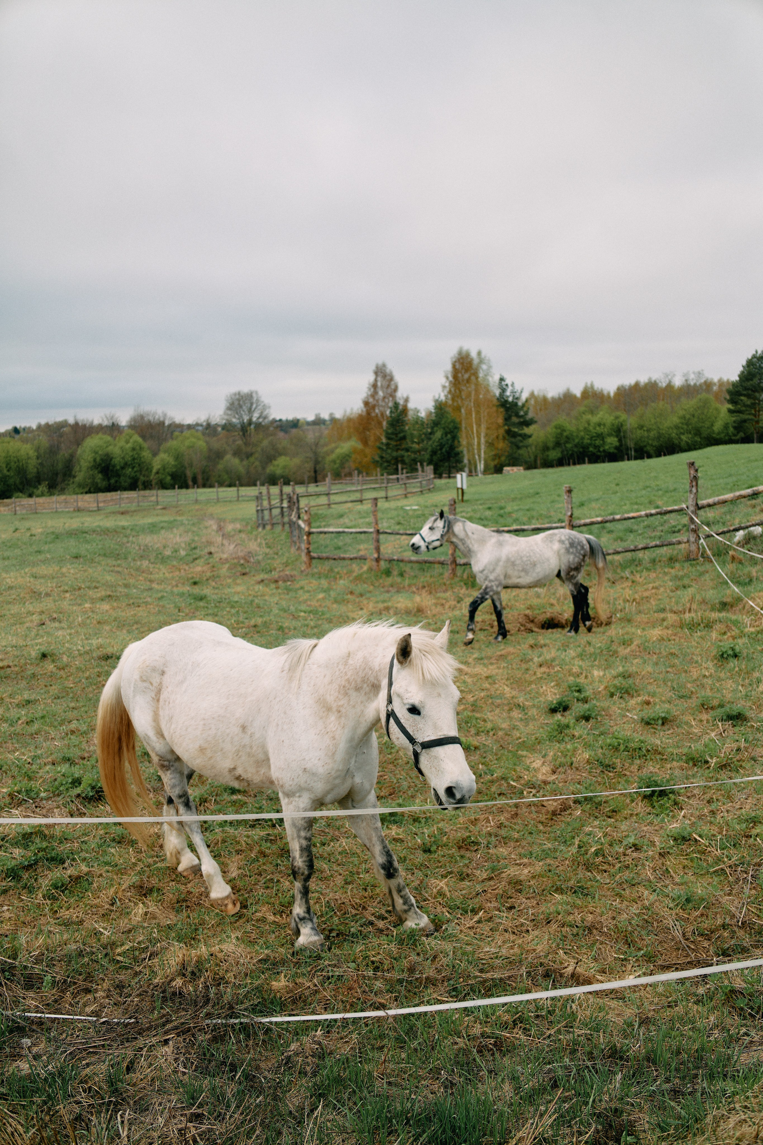 Бутик-отель Поле летом. Профессиональный Фотограф во Владимире, в Москве и в Суздале — Полина Романычева
