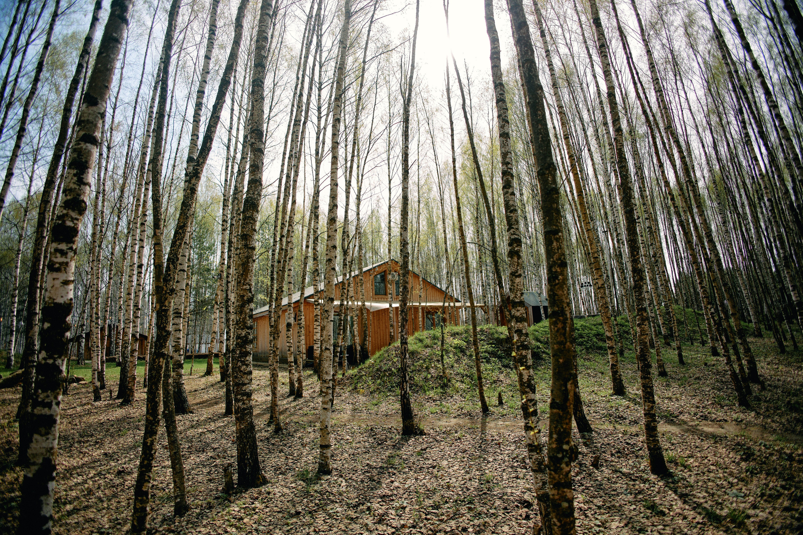 Бутик-отель Поле летом. Профессиональный Фотограф во Владимире, в Москве и в Суздале — Полина Романычева