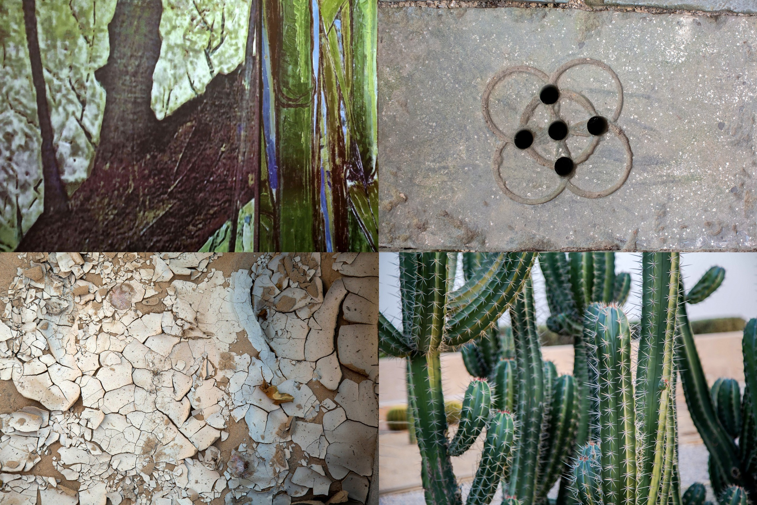 Зоя Альшаравнех