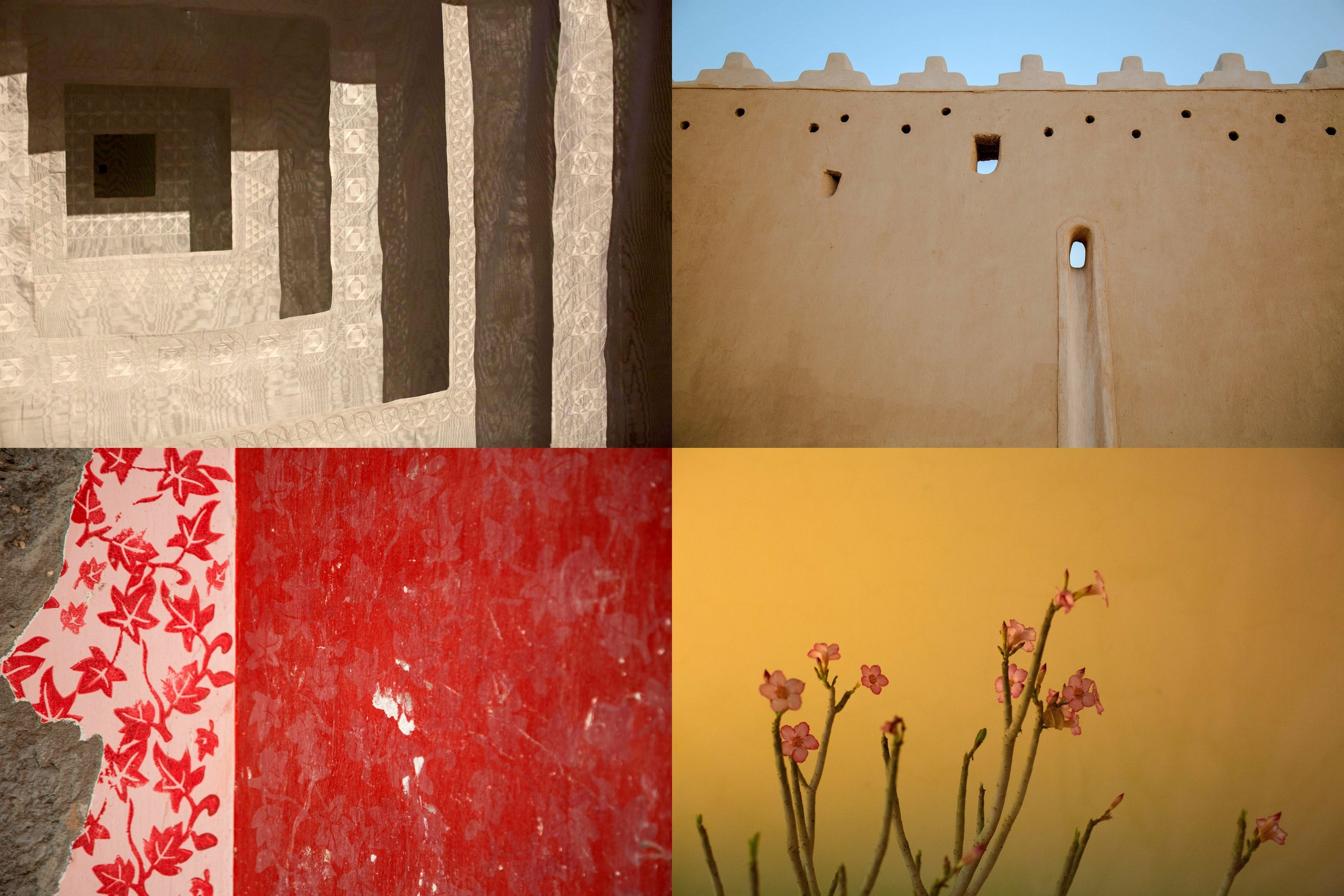 Зоя Альшаравнех